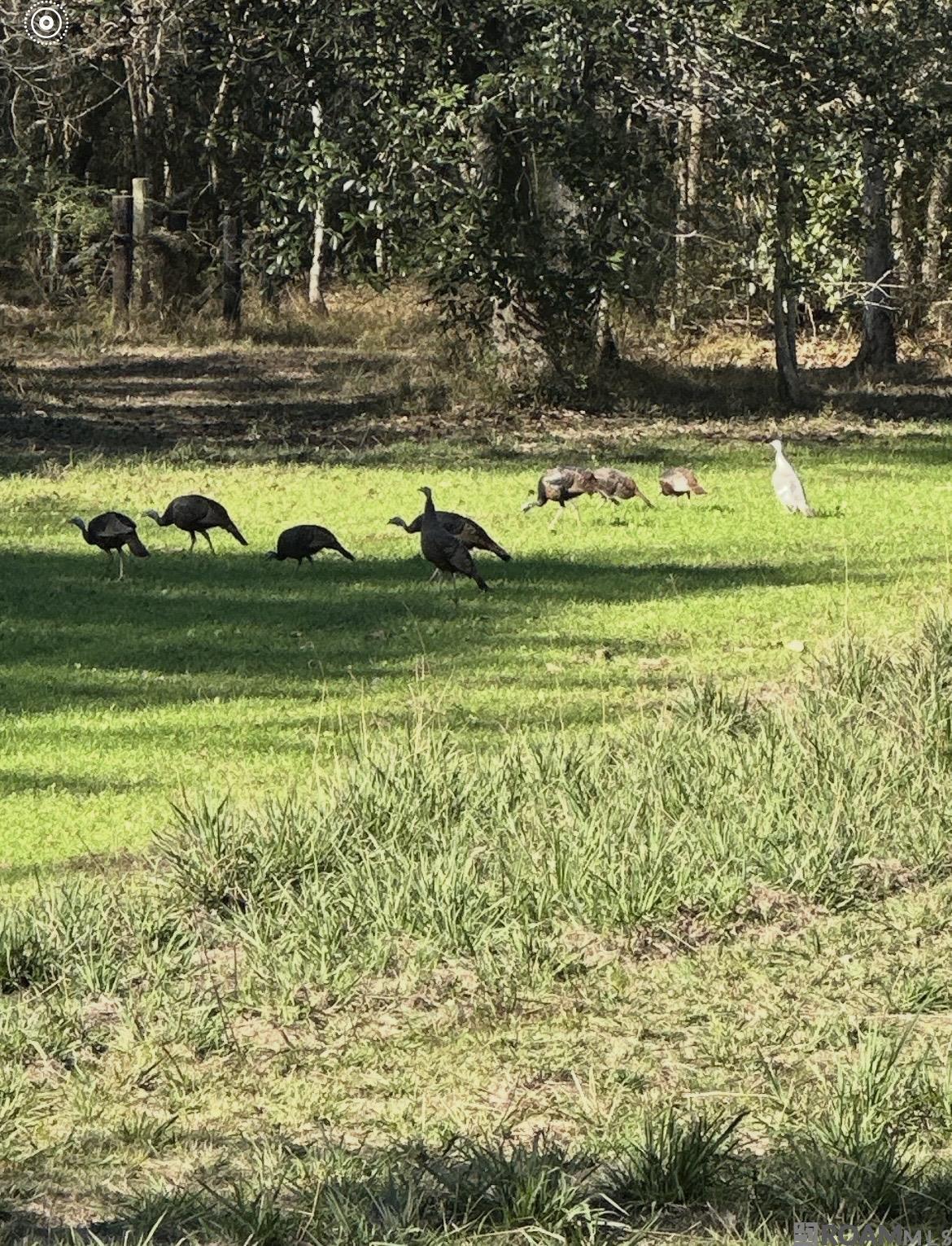 312 Rushingtown Road, Tylertown, MS, 39667