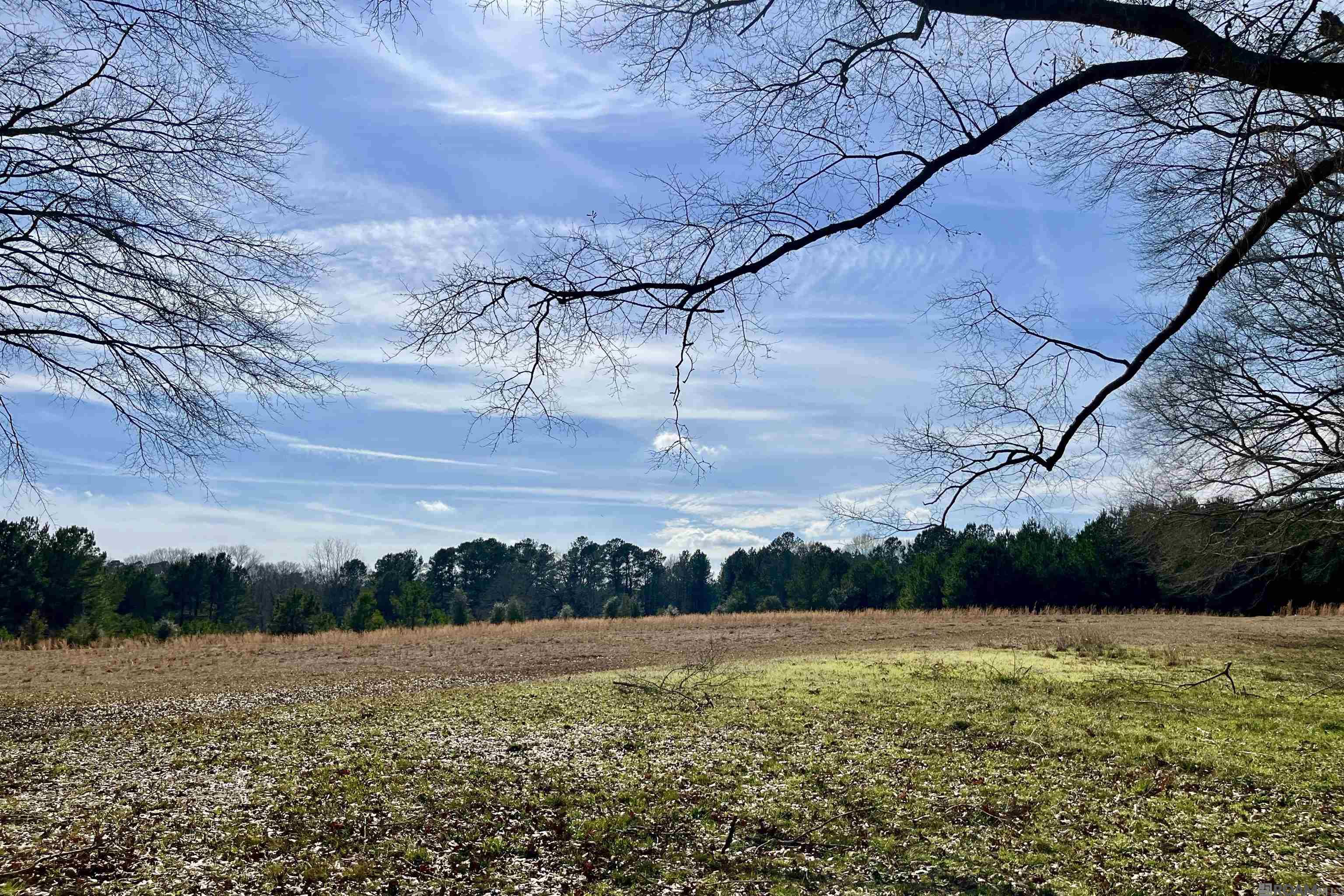 312 Rushingtown Road, Tylertown, MS, 39667