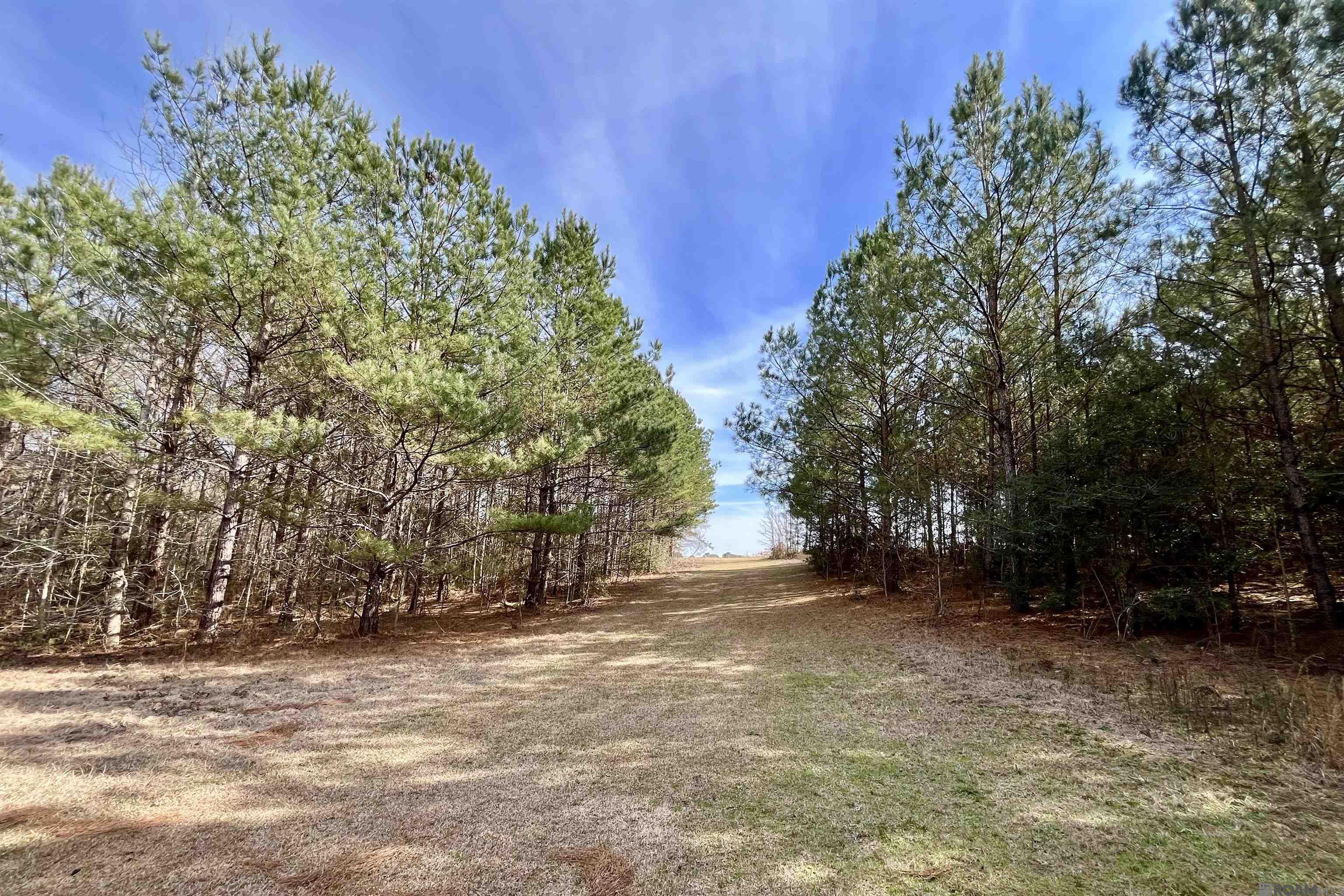 312 Rushingtown Road, Tylertown, MS, 39667