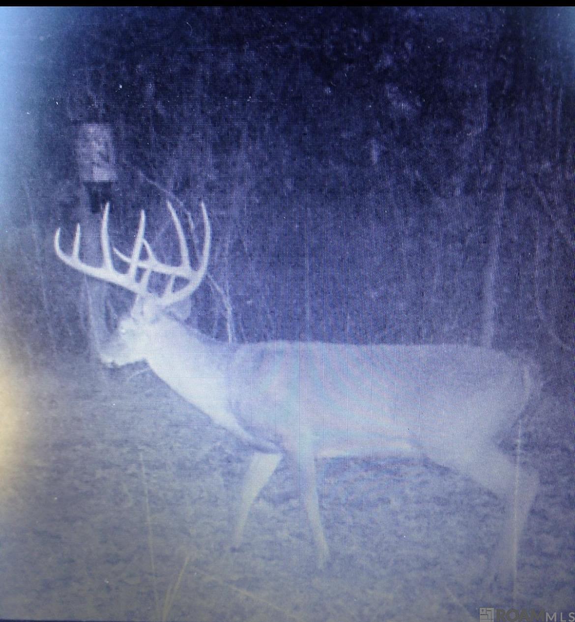 312 Rushingtown Road, Tylertown, MS, 39667