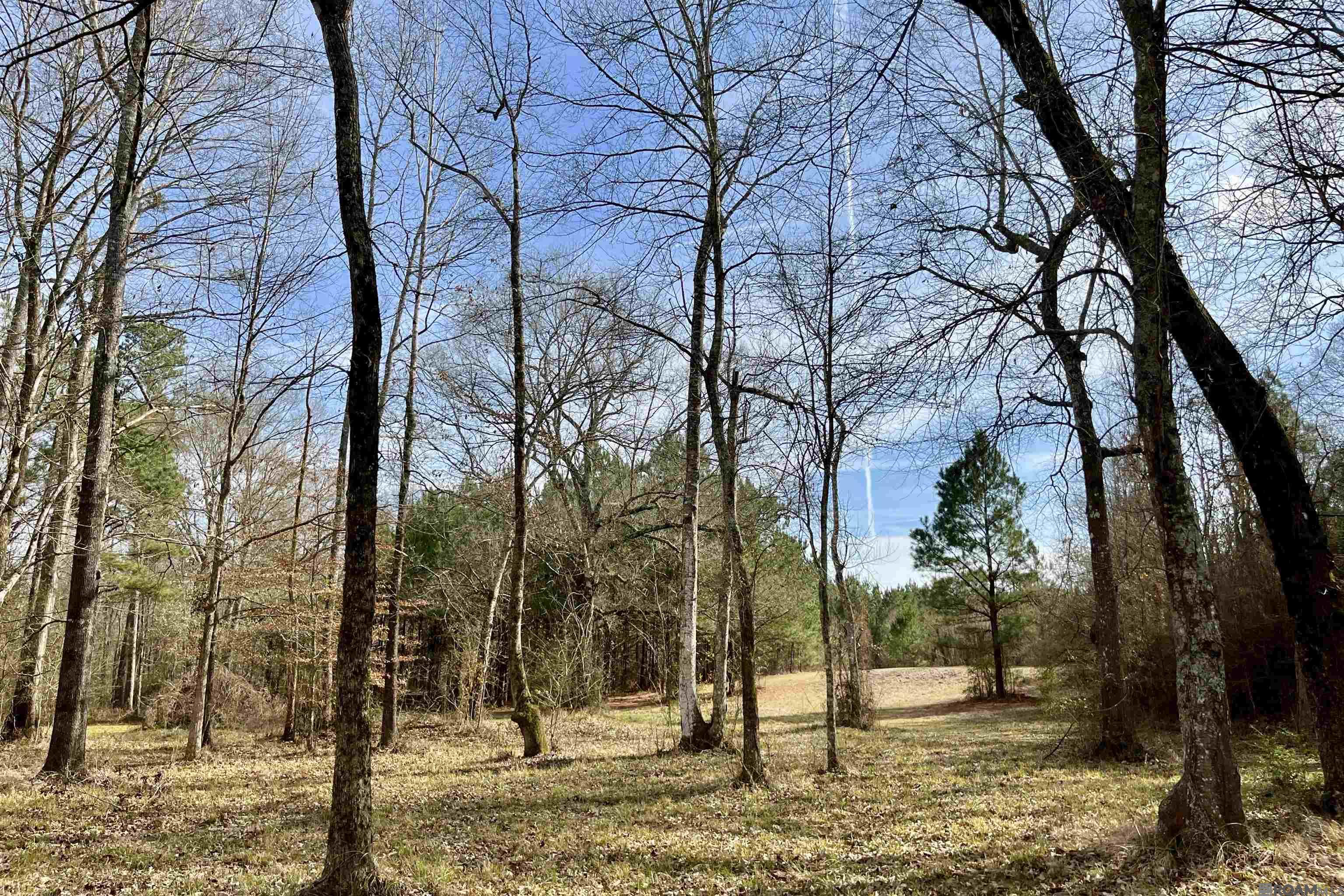 312 Rushingtown Road, Tylertown, MS, 39667