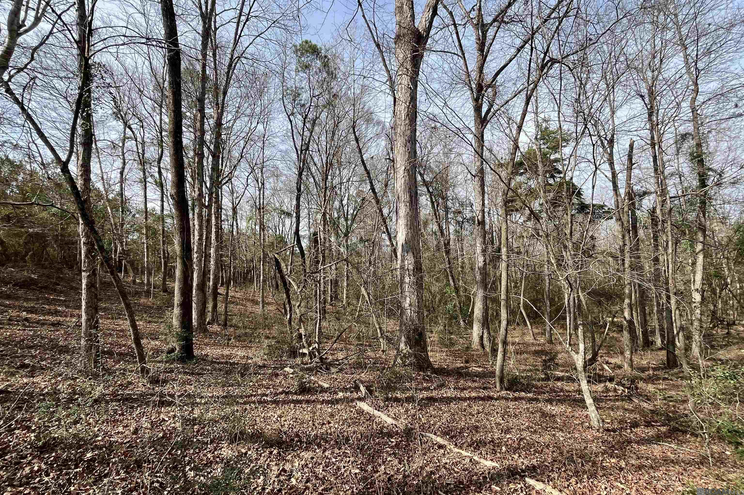 312 Rushingtown Road, Tylertown, MS, 39667