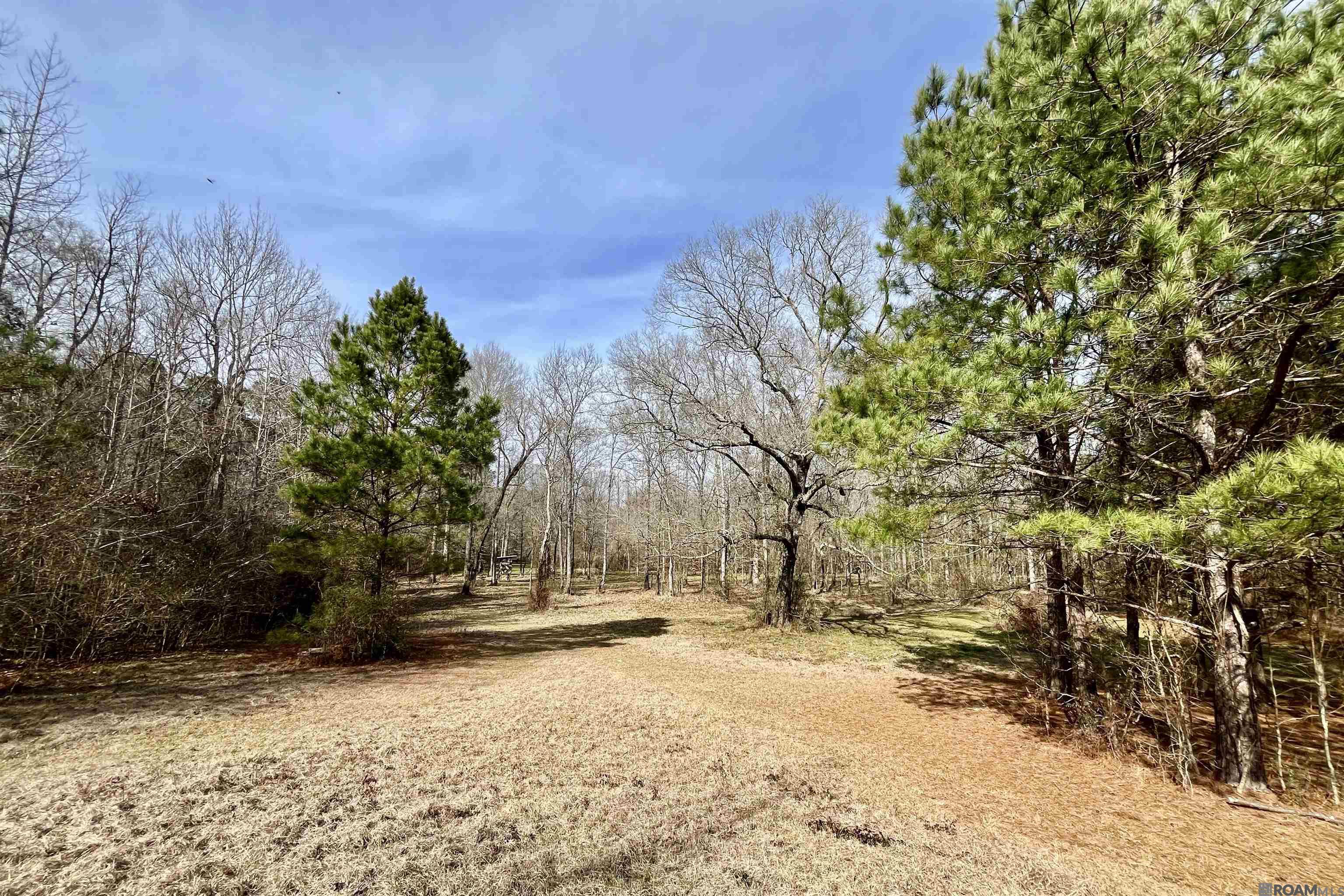 312 Rushingtown Road, Tylertown, MS, 39667