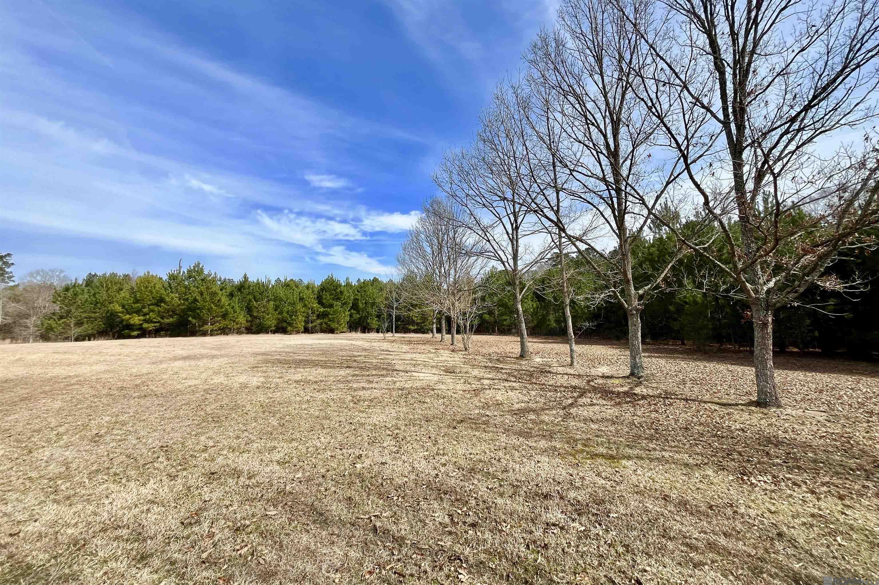 312 Rushingtown Road, Tylertown, MS, 39667