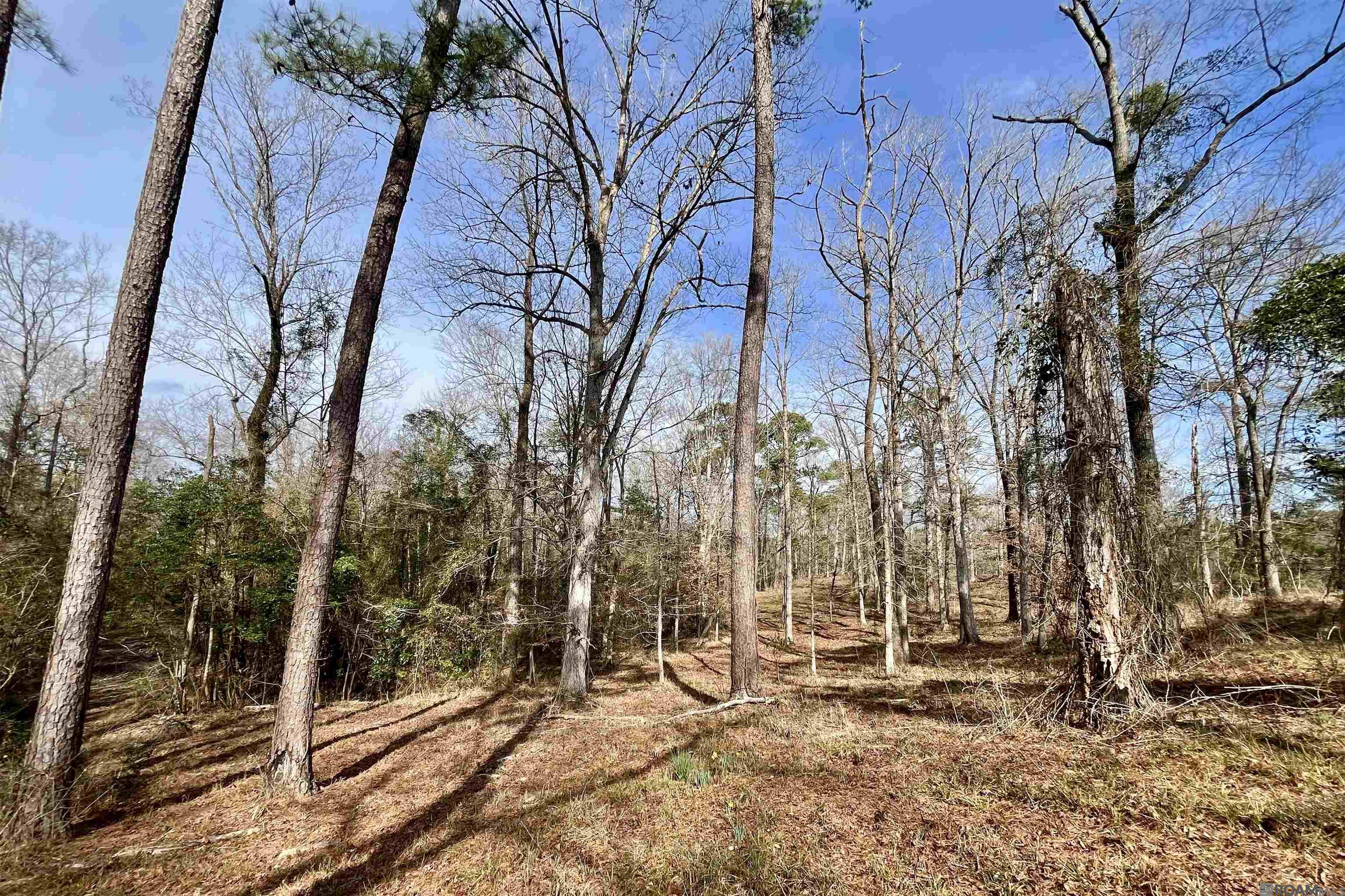 312 Rushingtown Road, Tylertown, MS, 39667