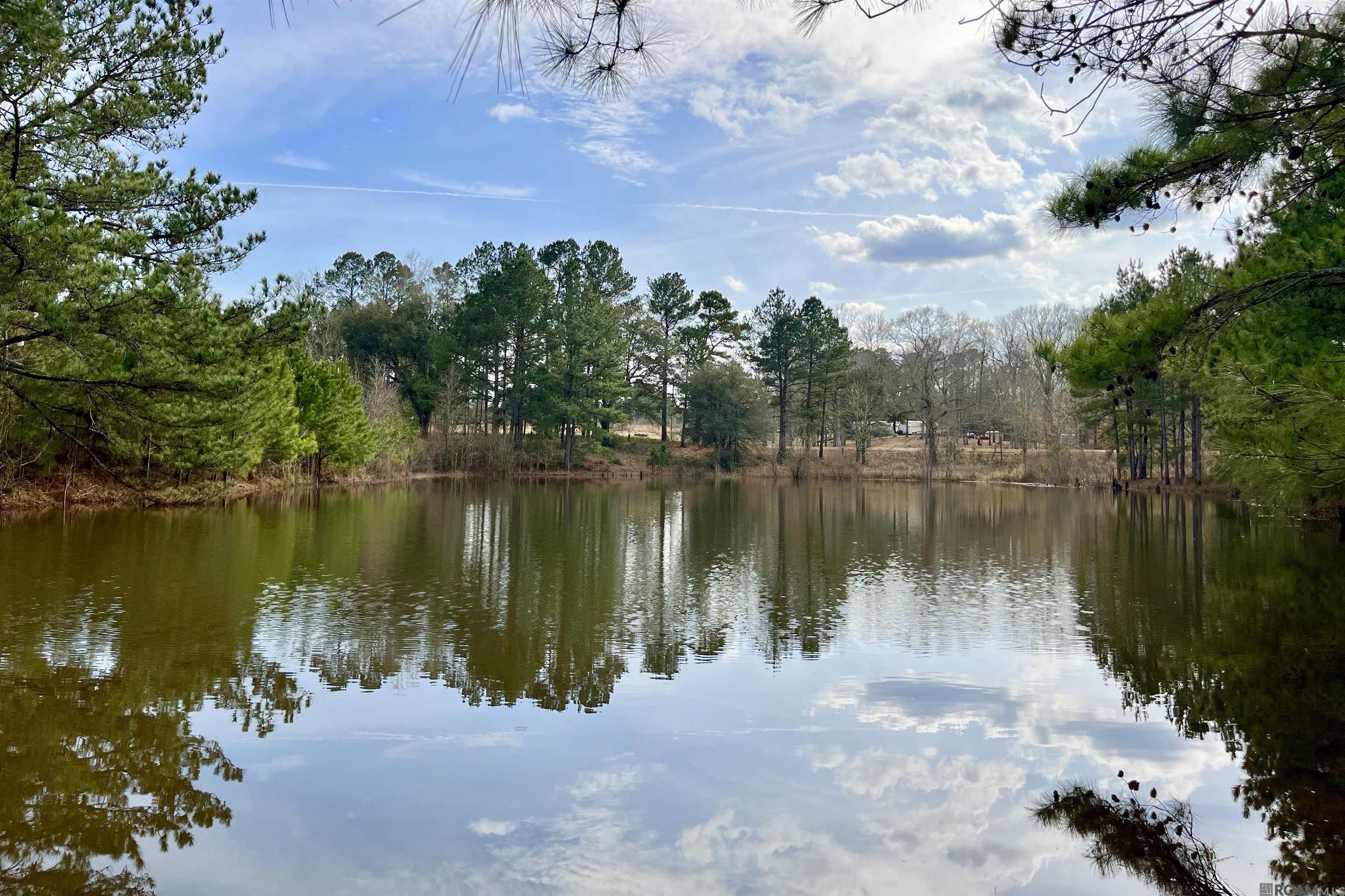 312 Rushingtown Road, Tylertown, MS, 39667