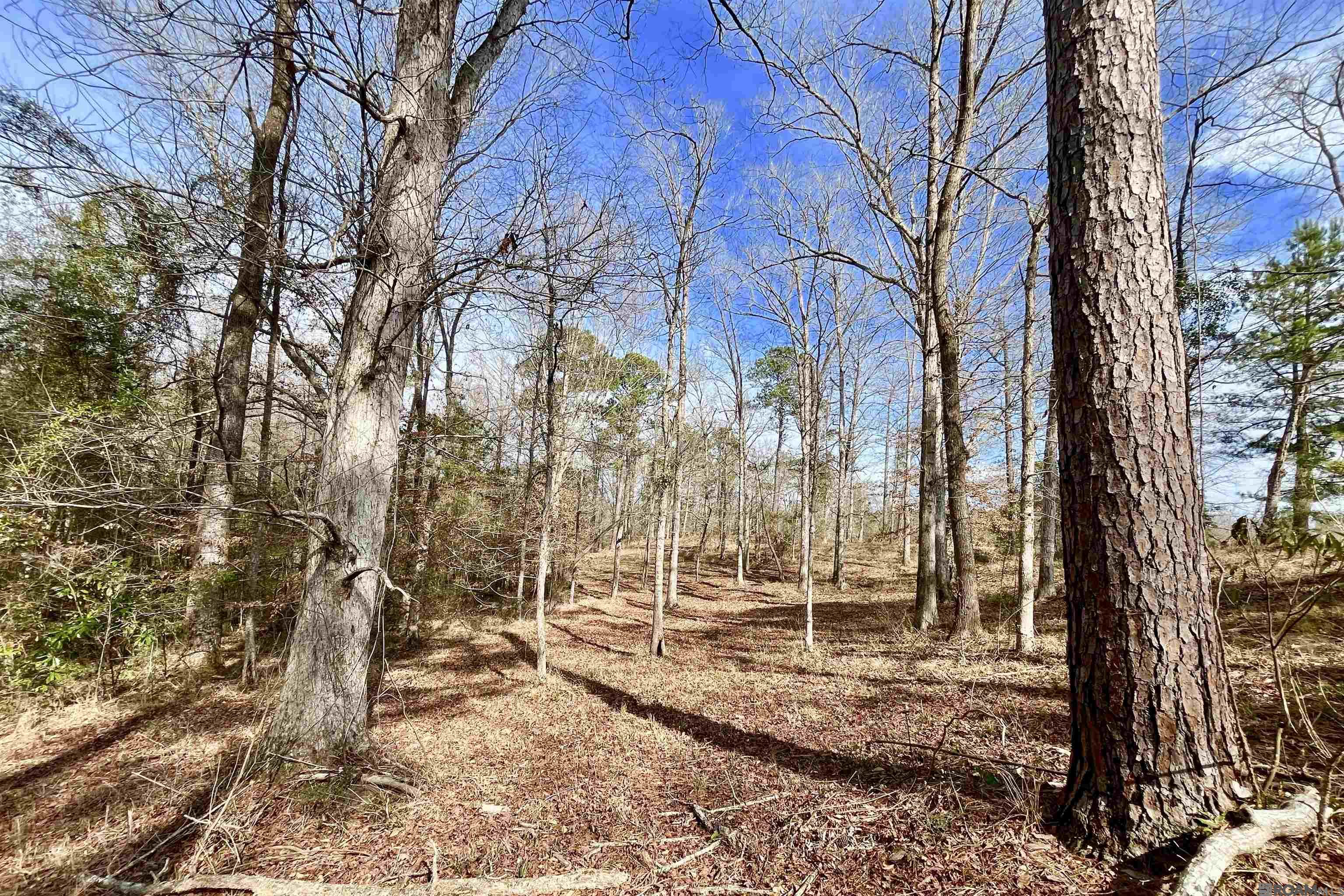 312 Rushingtown Road, Tylertown, MS, 39667