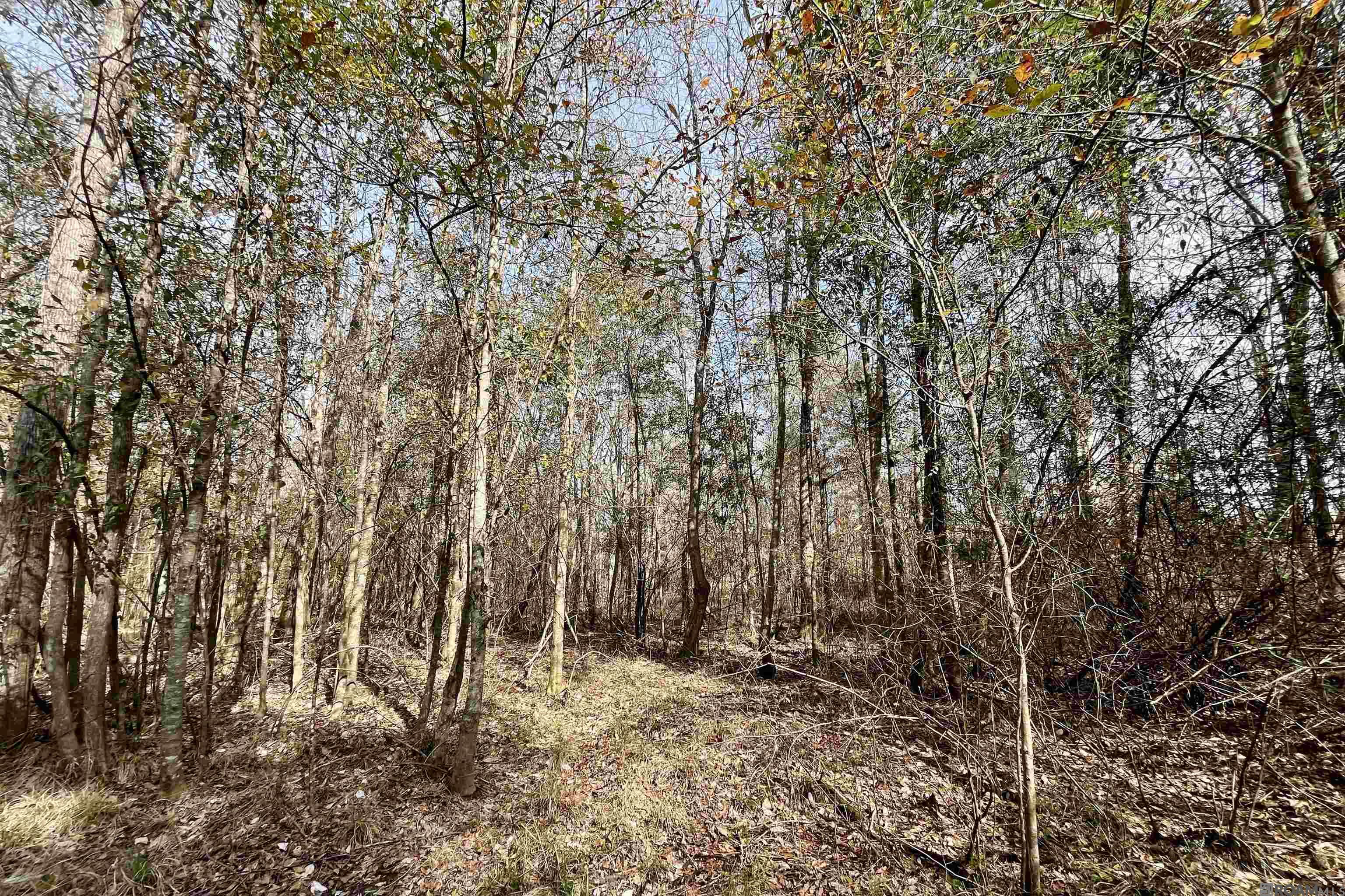 312 Rushingtown Road, Tylertown, MS, 39667