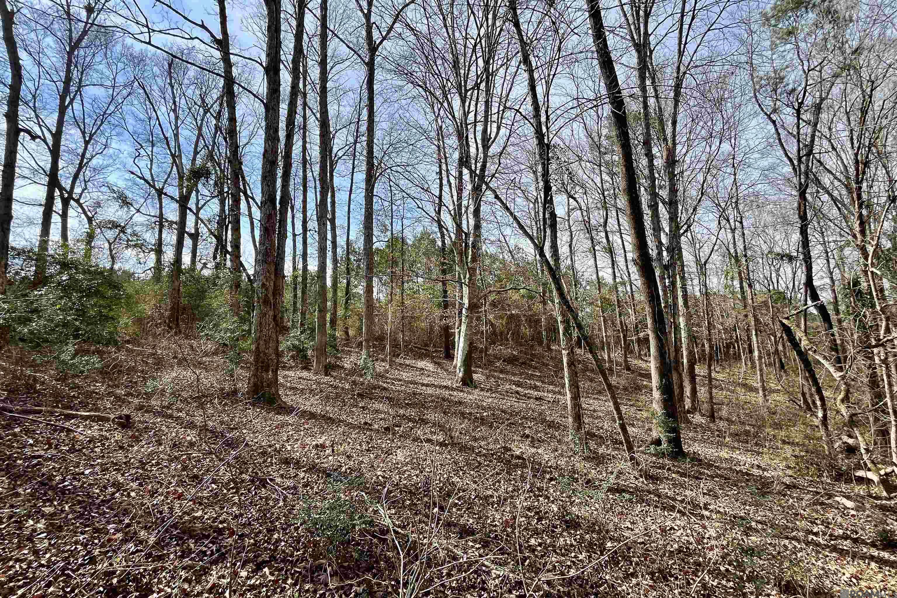 312 Rushingtown Road, Tylertown, MS, 39667