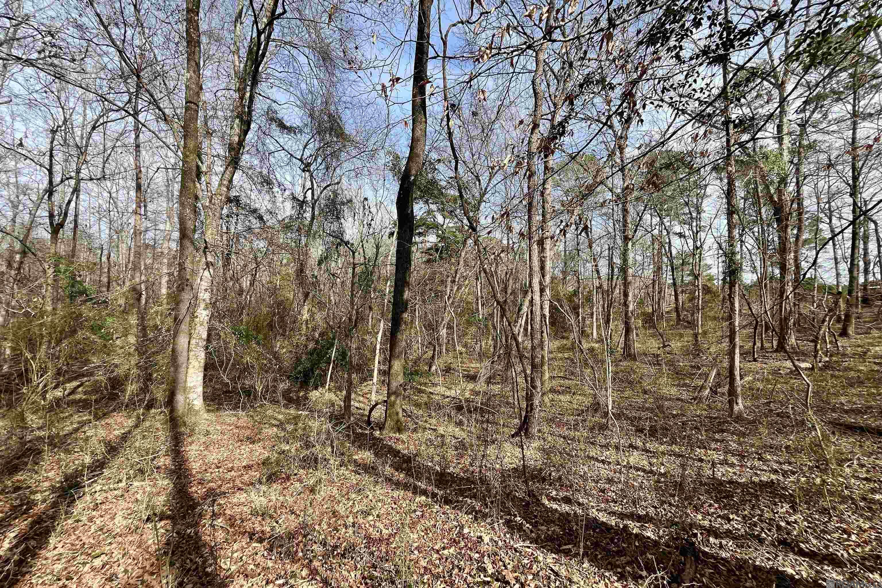 312 Rushingtown Road, Tylertown, MS, 39667