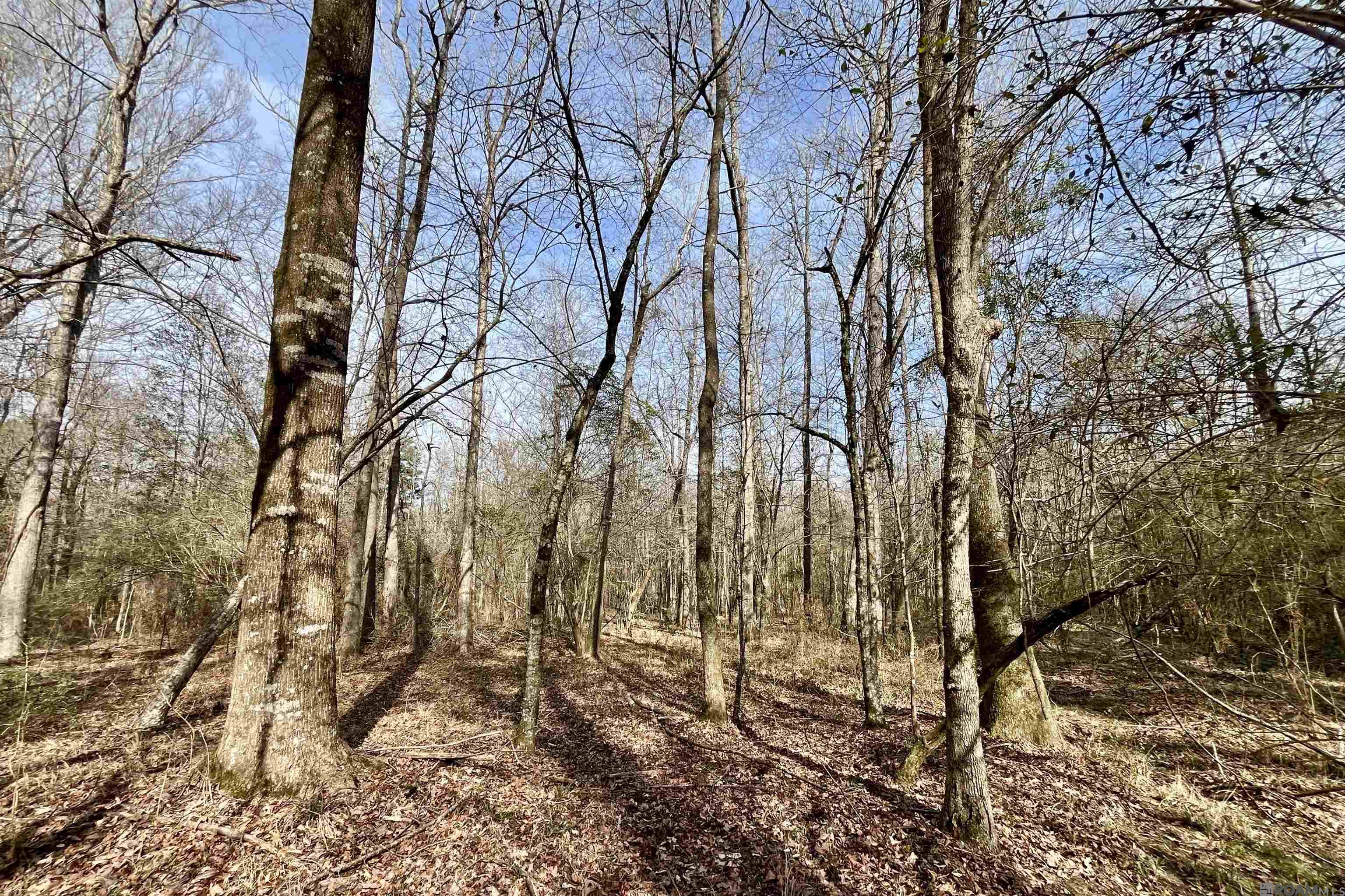 312 Rushingtown Road, Tylertown, MS, 39667