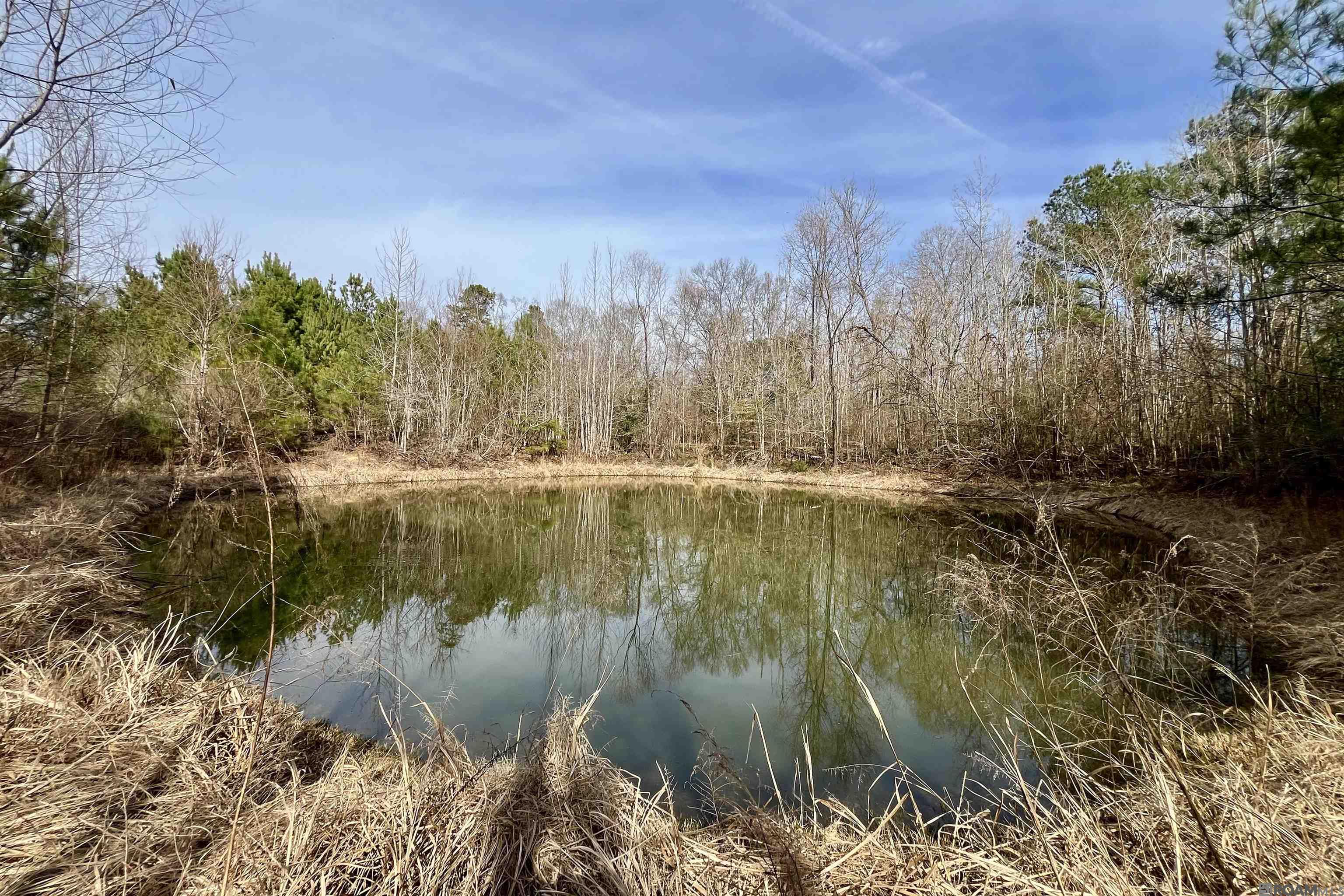 312 Rushingtown Road, Tylertown, MS, 39667