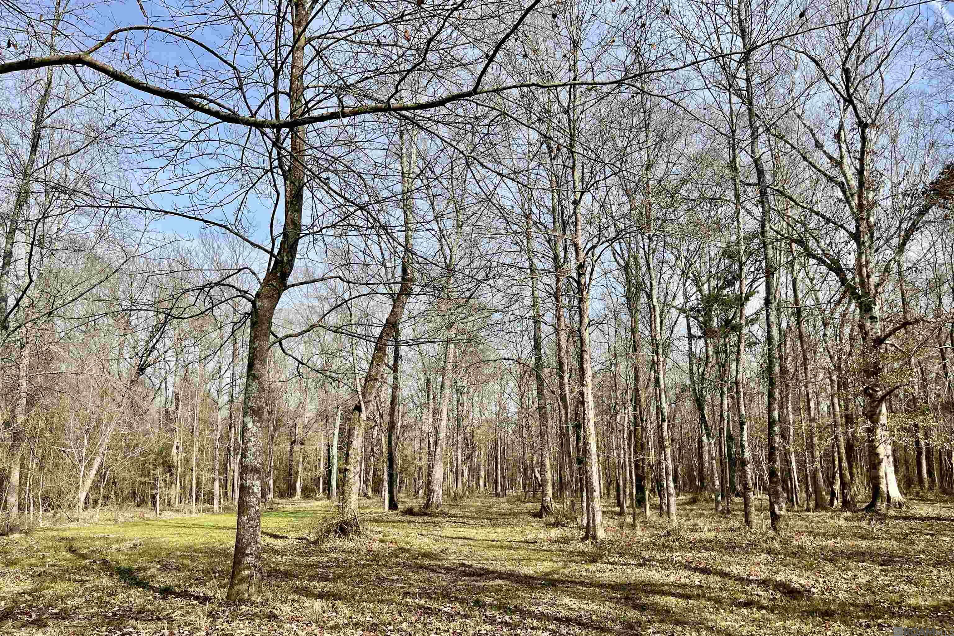 312 Rushingtown Road, Tylertown, MS, 39667