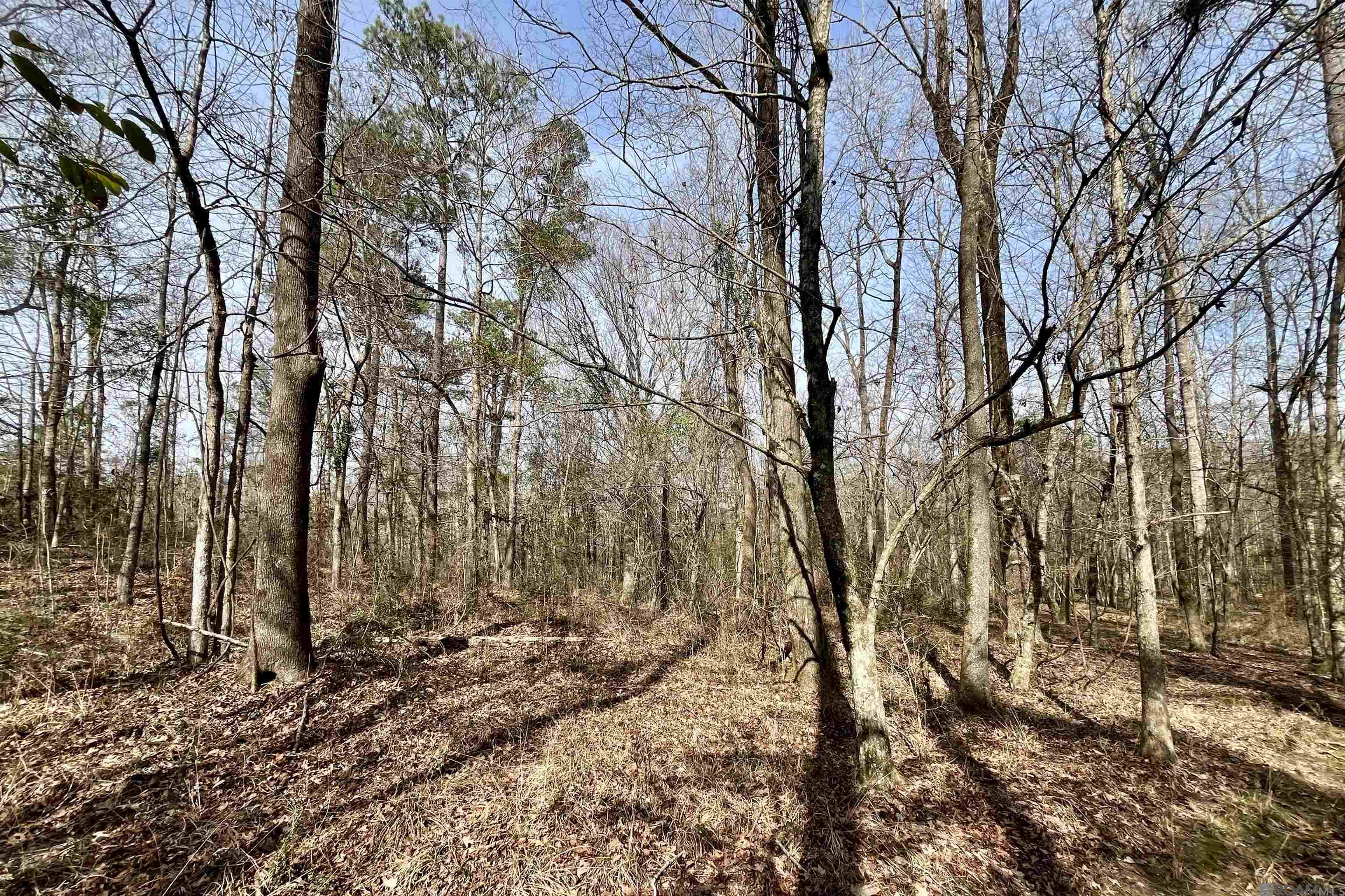 312 Rushingtown Road, Tylertown, MS, 39667