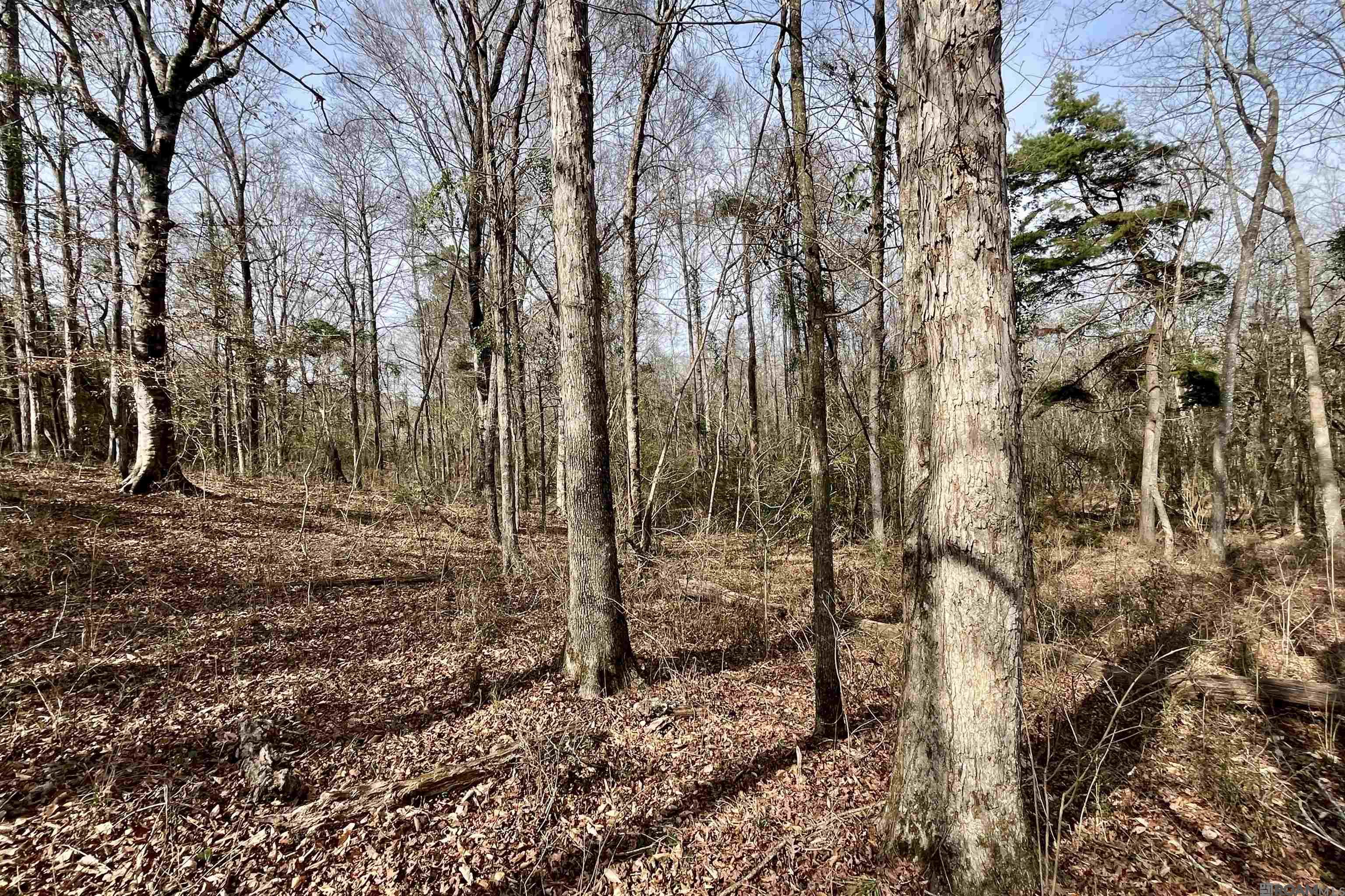 312 Rushingtown Road, Tylertown, MS, 39667