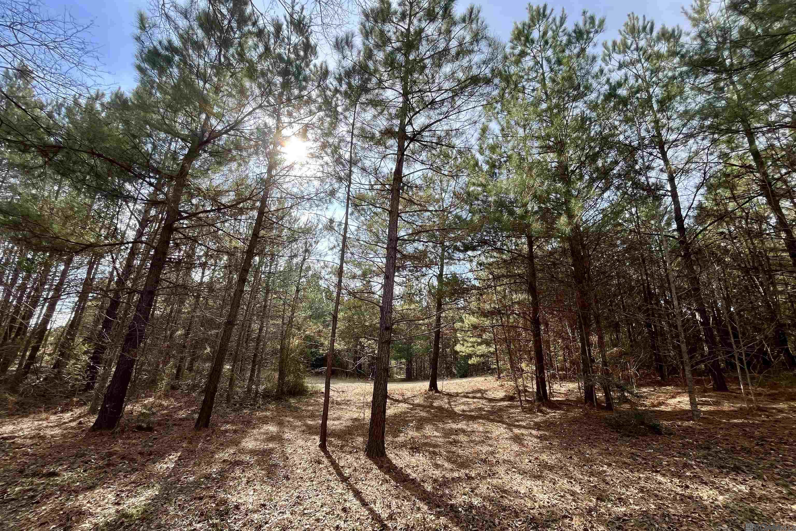 312 Rushingtown Road, Tylertown, MS, 39667