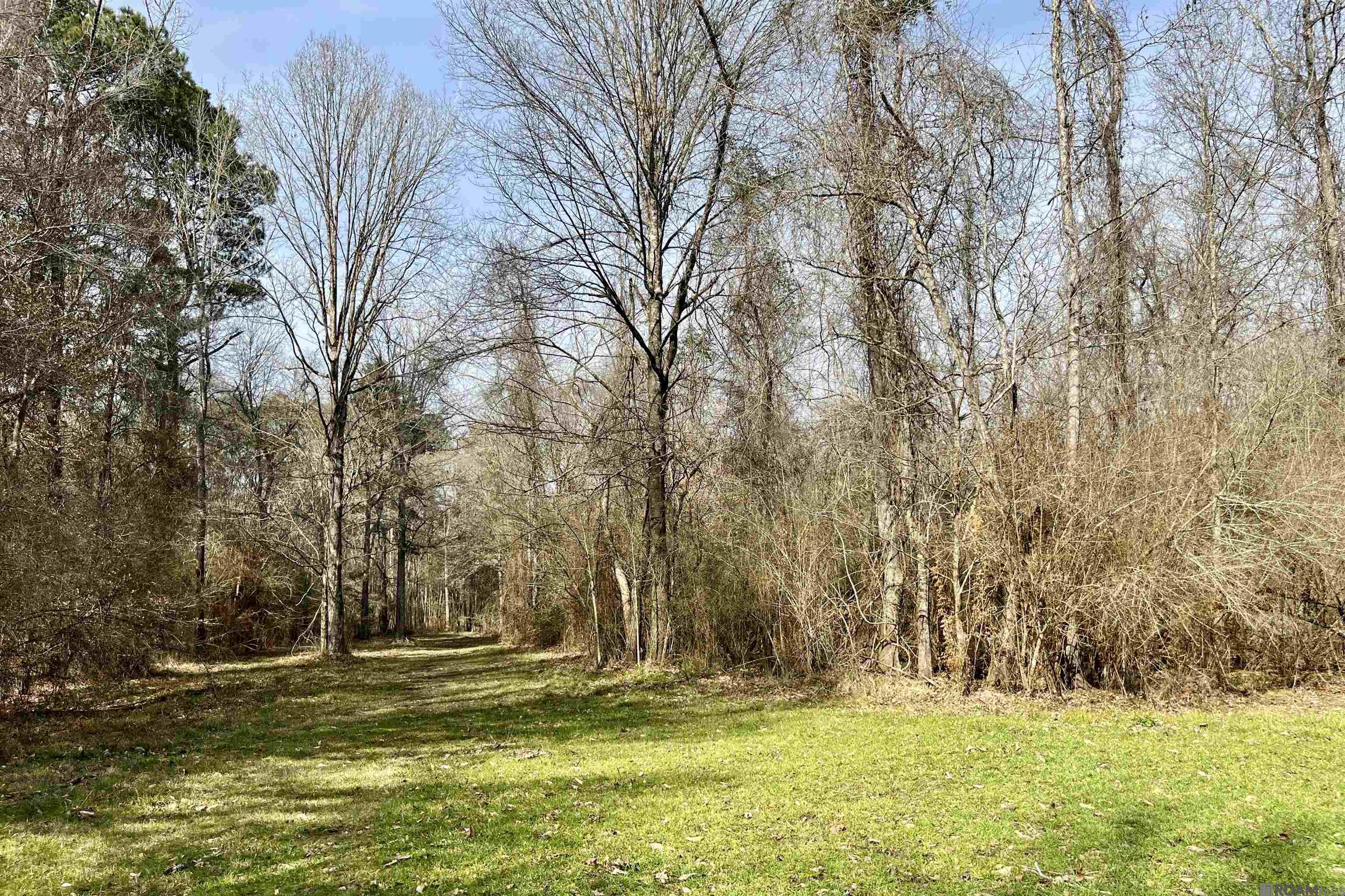 312 Rushingtown Road, Tylertown, MS, 39667