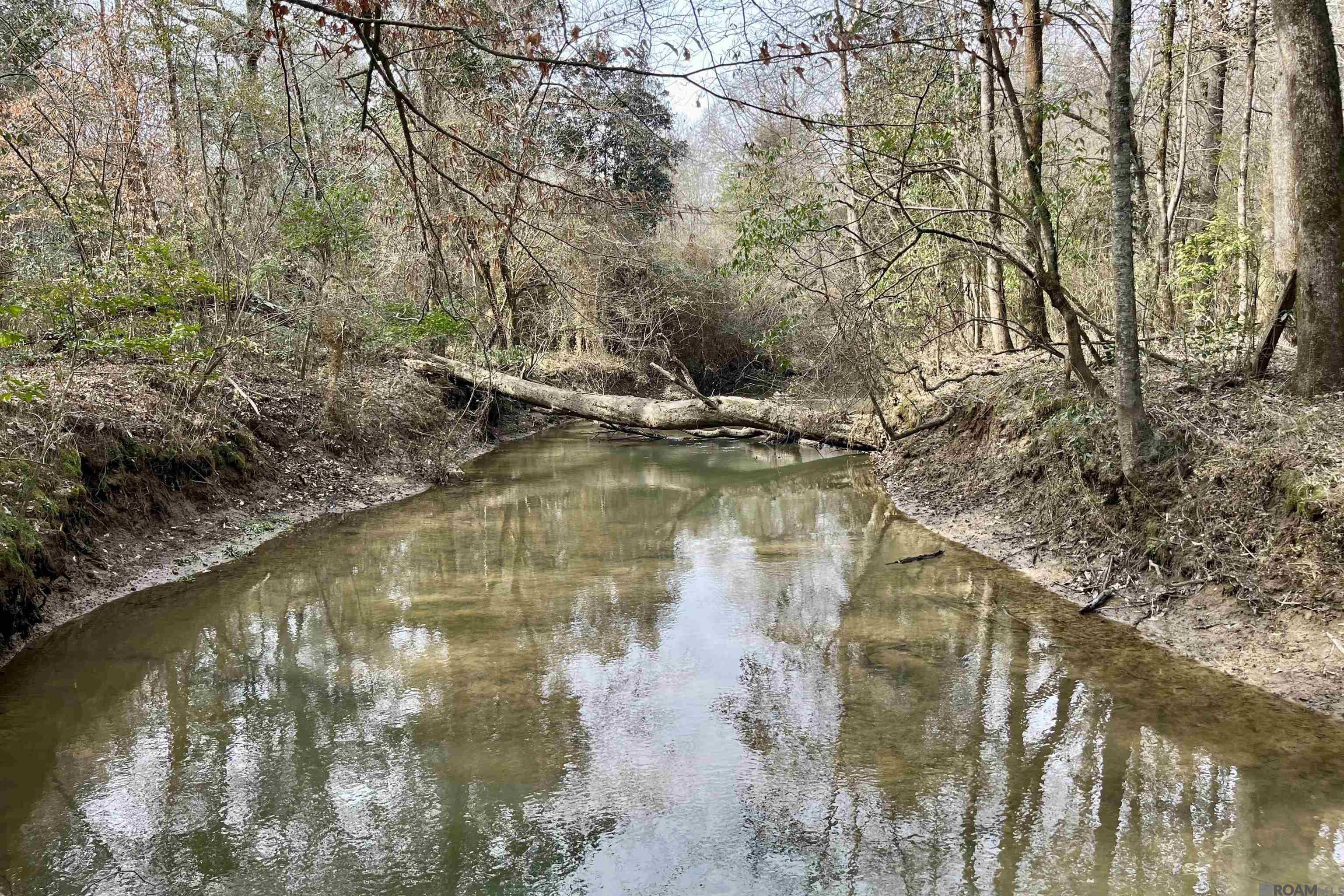 312 Rushingtown Road, Tylertown, MS, 39667