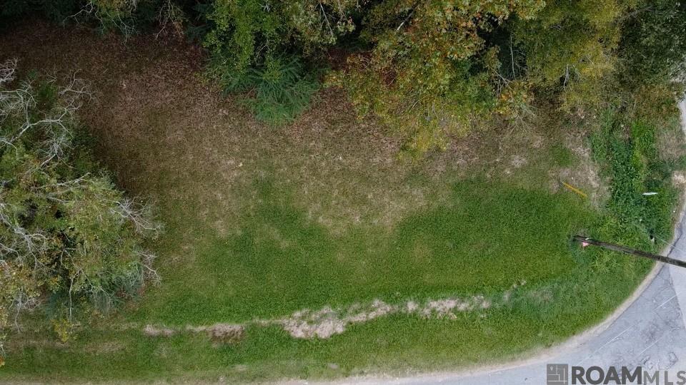 2014 Convention, Baton Rouge, LA, 70806