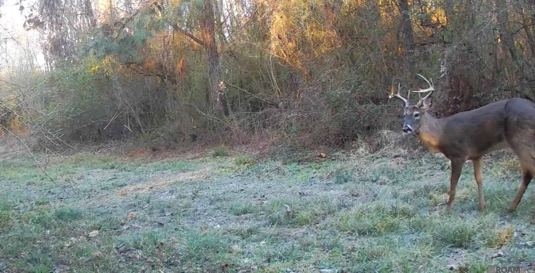 E-1-E-1-E La Hwy 67, Zachary, LA, 70791