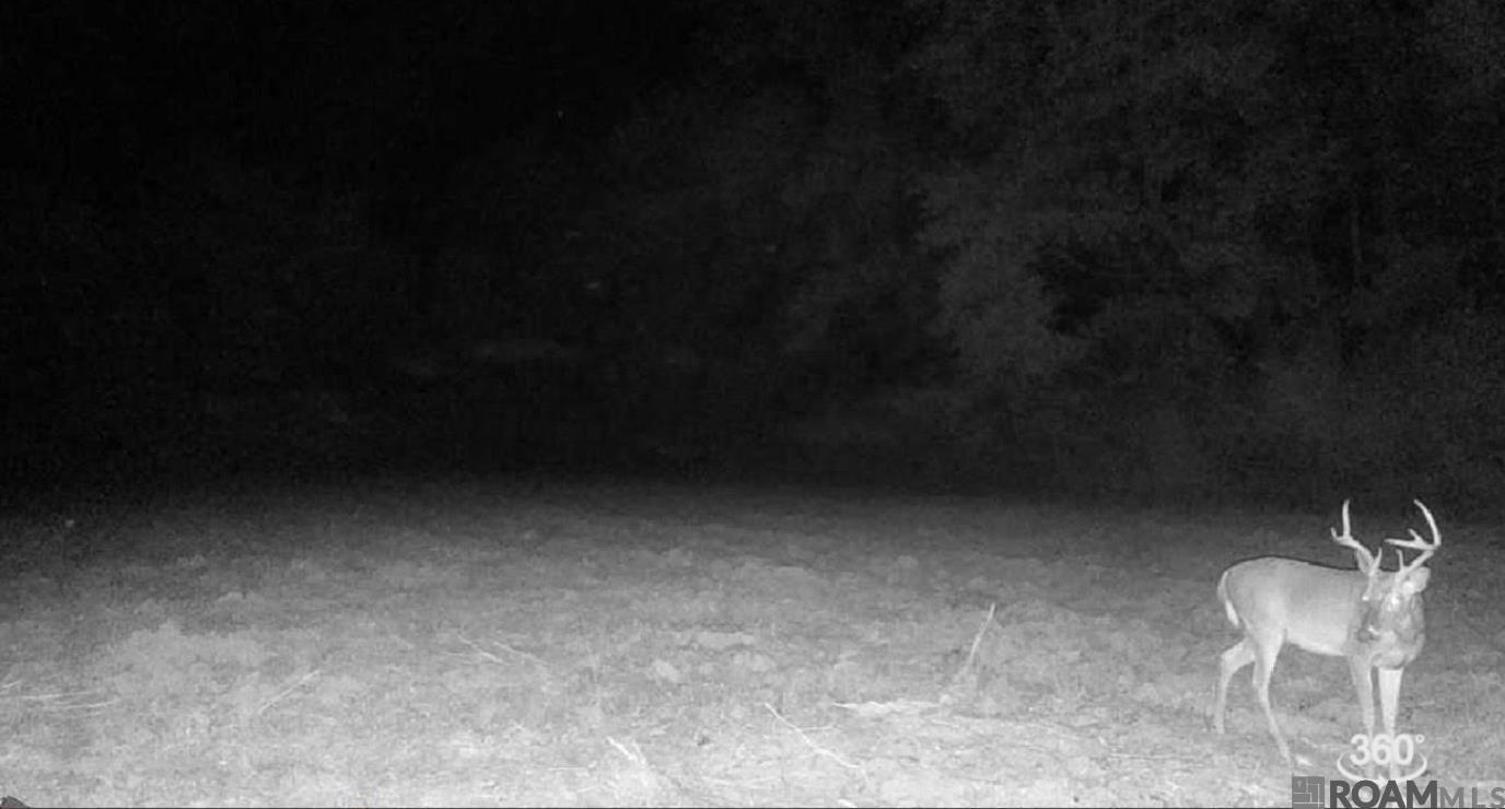 E-1-E-1-E La Hwy 67, Zachary, LA, 70791