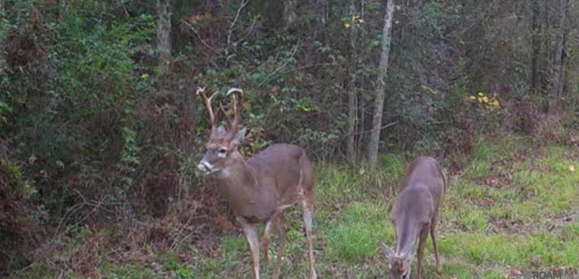 E-1-E-1-E La Hwy 67, Zachary, LA, 70791