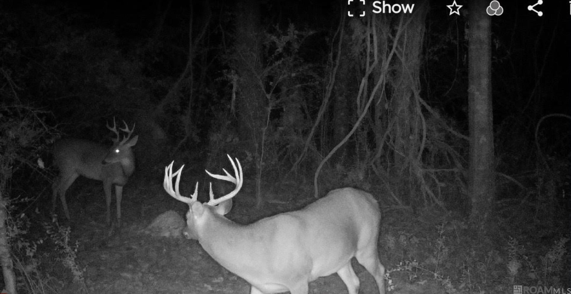 E-1-E-1-E La Hwy 67, Zachary, LA, 70791