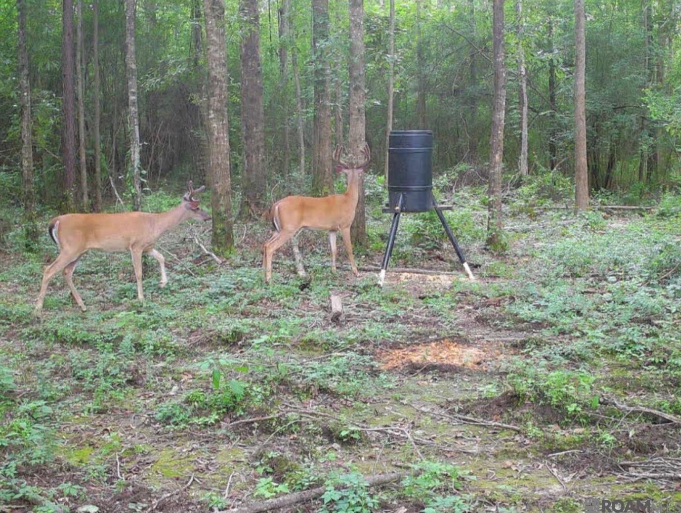 E-1-E-1-E La Hwy 67, Zachary, LA, 70791