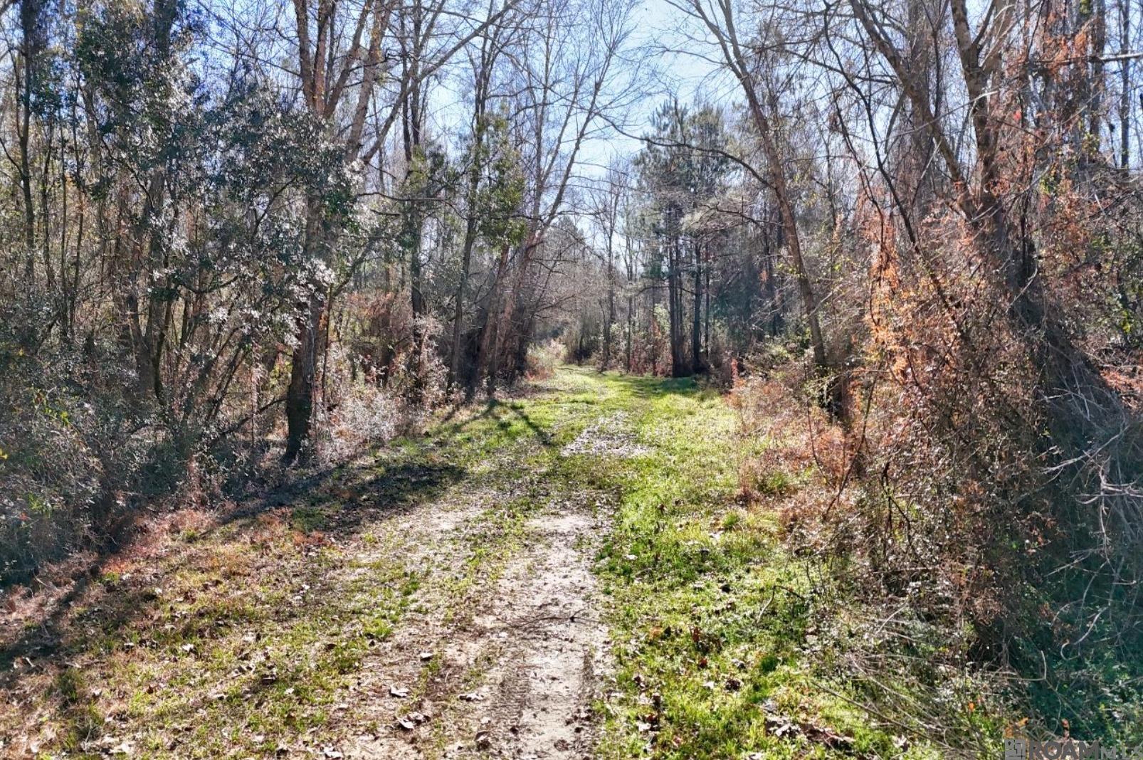 E-1-E-1-E La Hwy 67, Zachary, LA, 70791