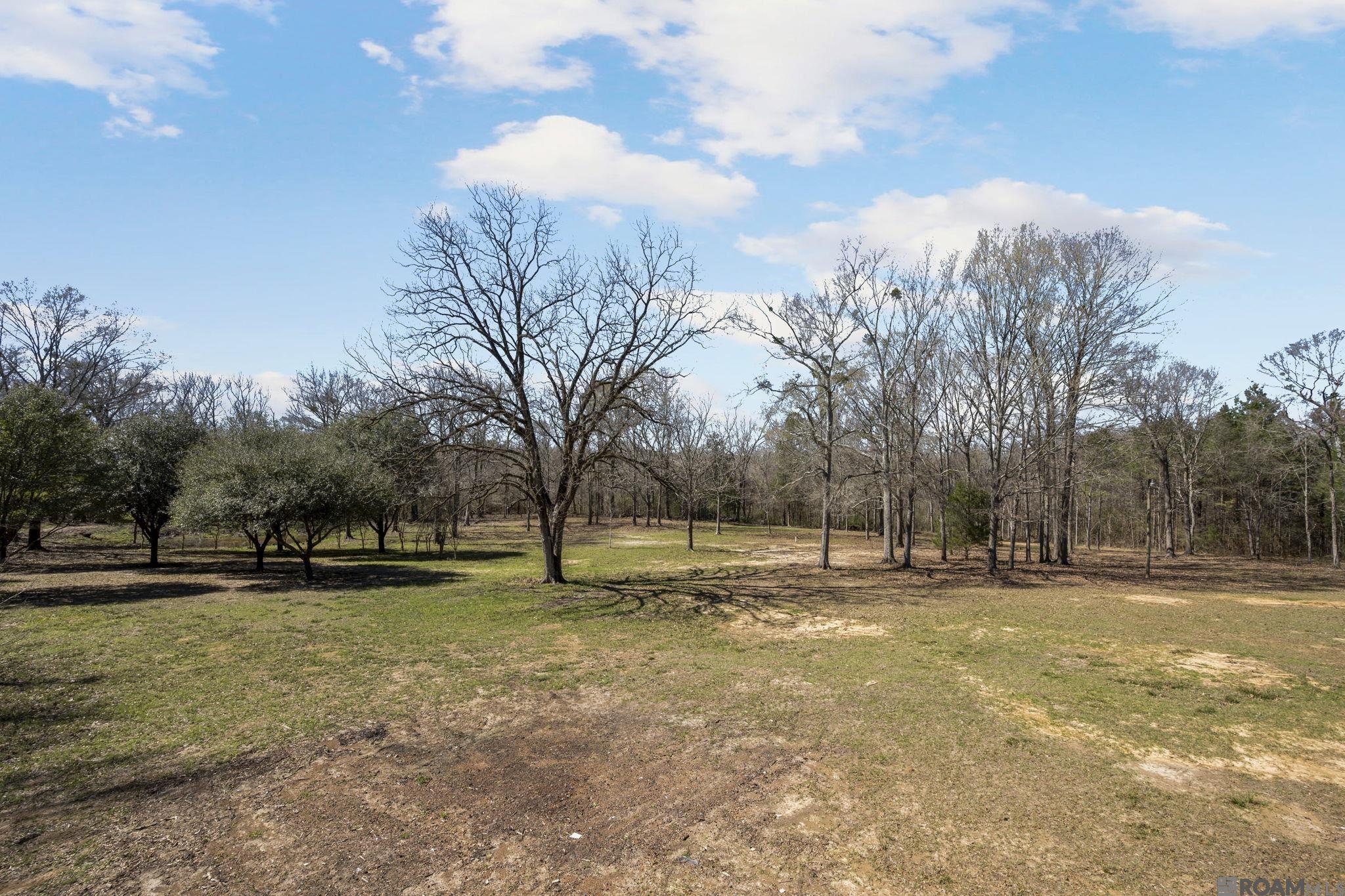 11930 Hamilton Rd, St Francisville, LA, 70775