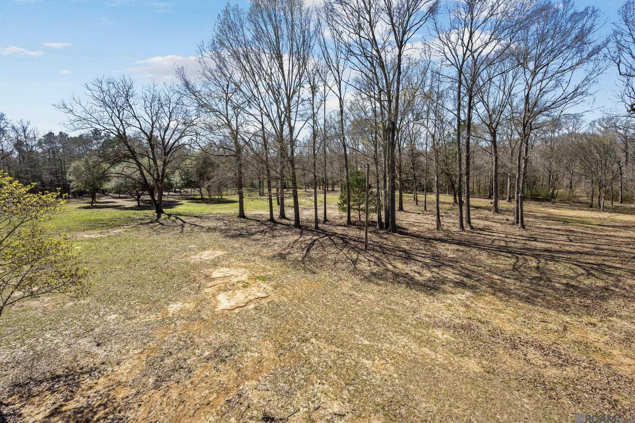 11930 Hamilton Rd, St Francisville, LA, 70775