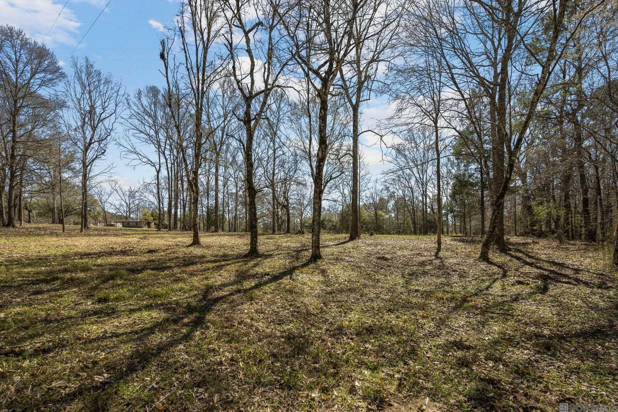 11930 Hamilton Rd, St Francisville, LA, 70775