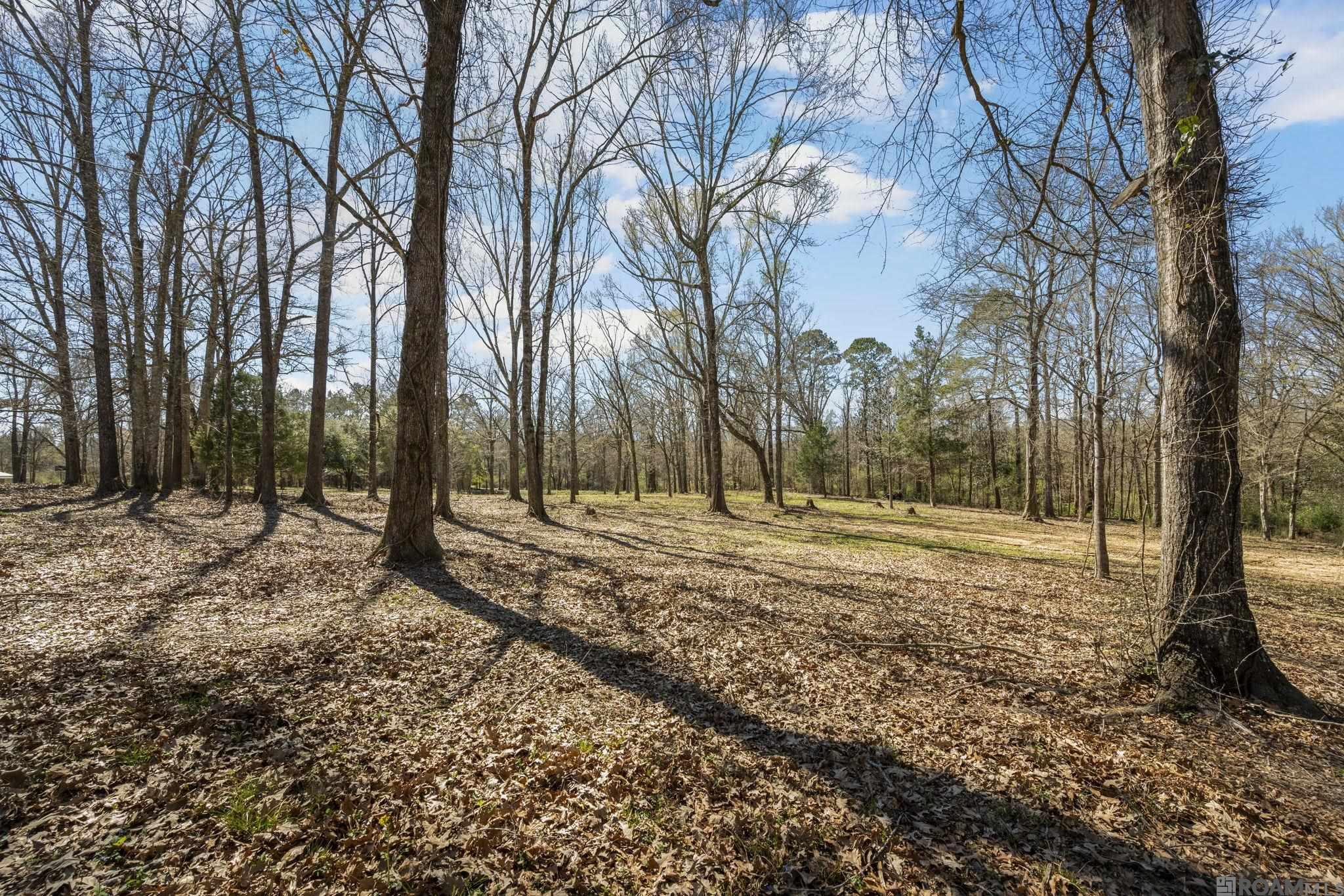 11930 Hamilton Rd, St Francisville, LA, 70775