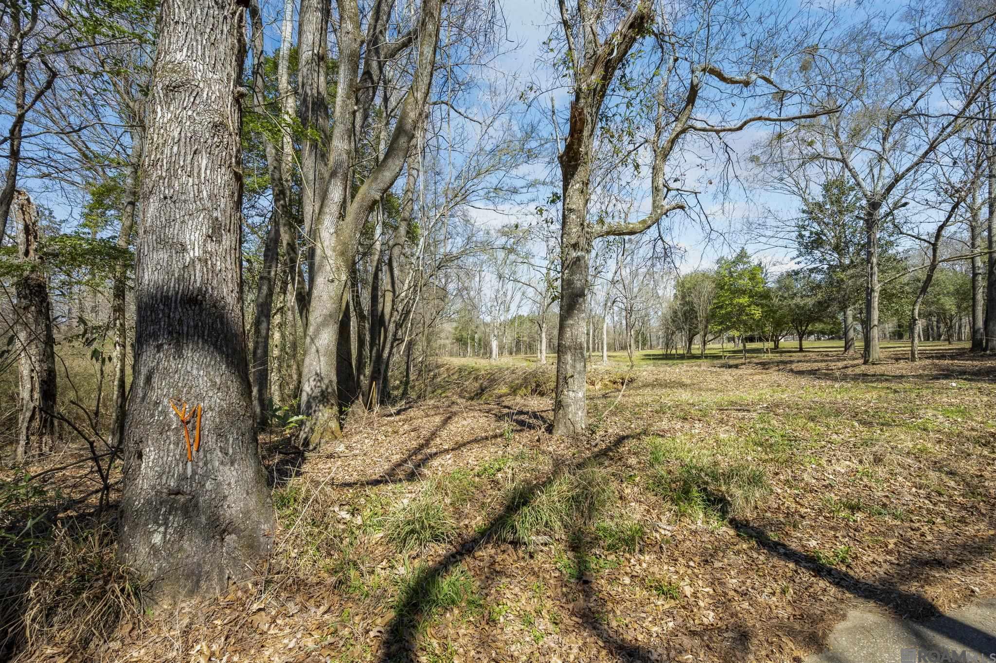 11930 Hamilton Rd, St Francisville, LA, 70775