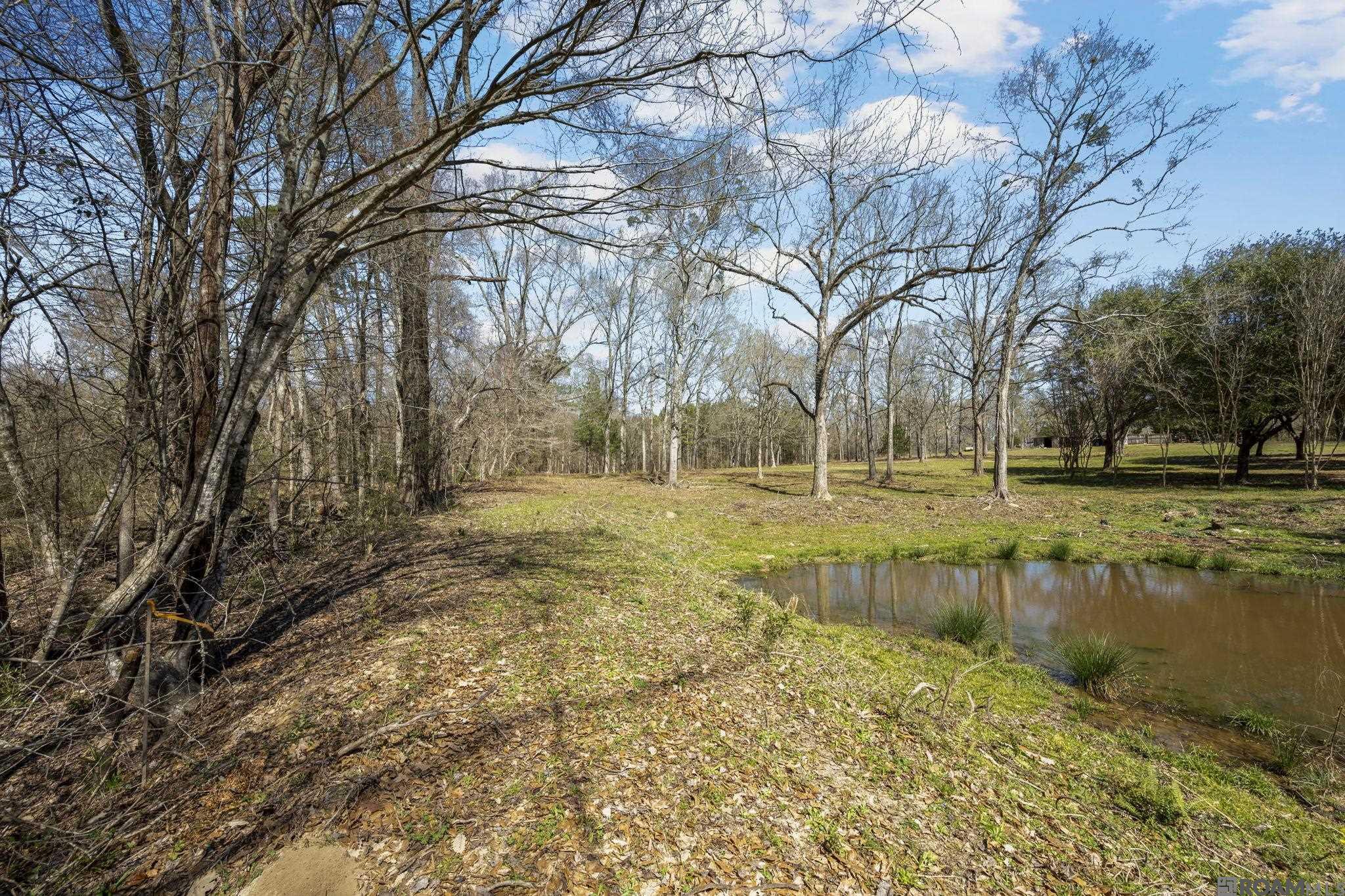 11930 Hamilton Rd, St Francisville, LA, 70775