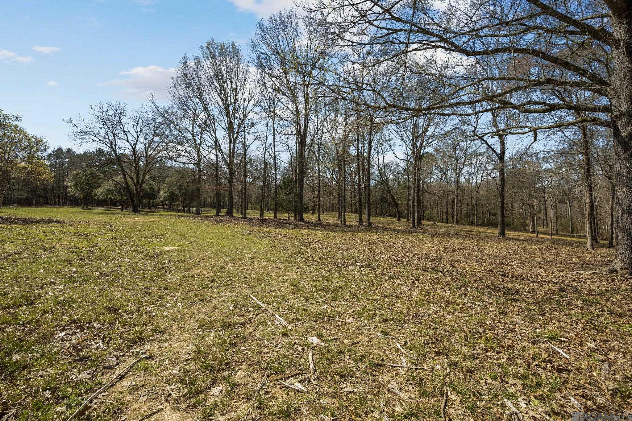 11930 Hamilton Rd, St Francisville, LA, 70775