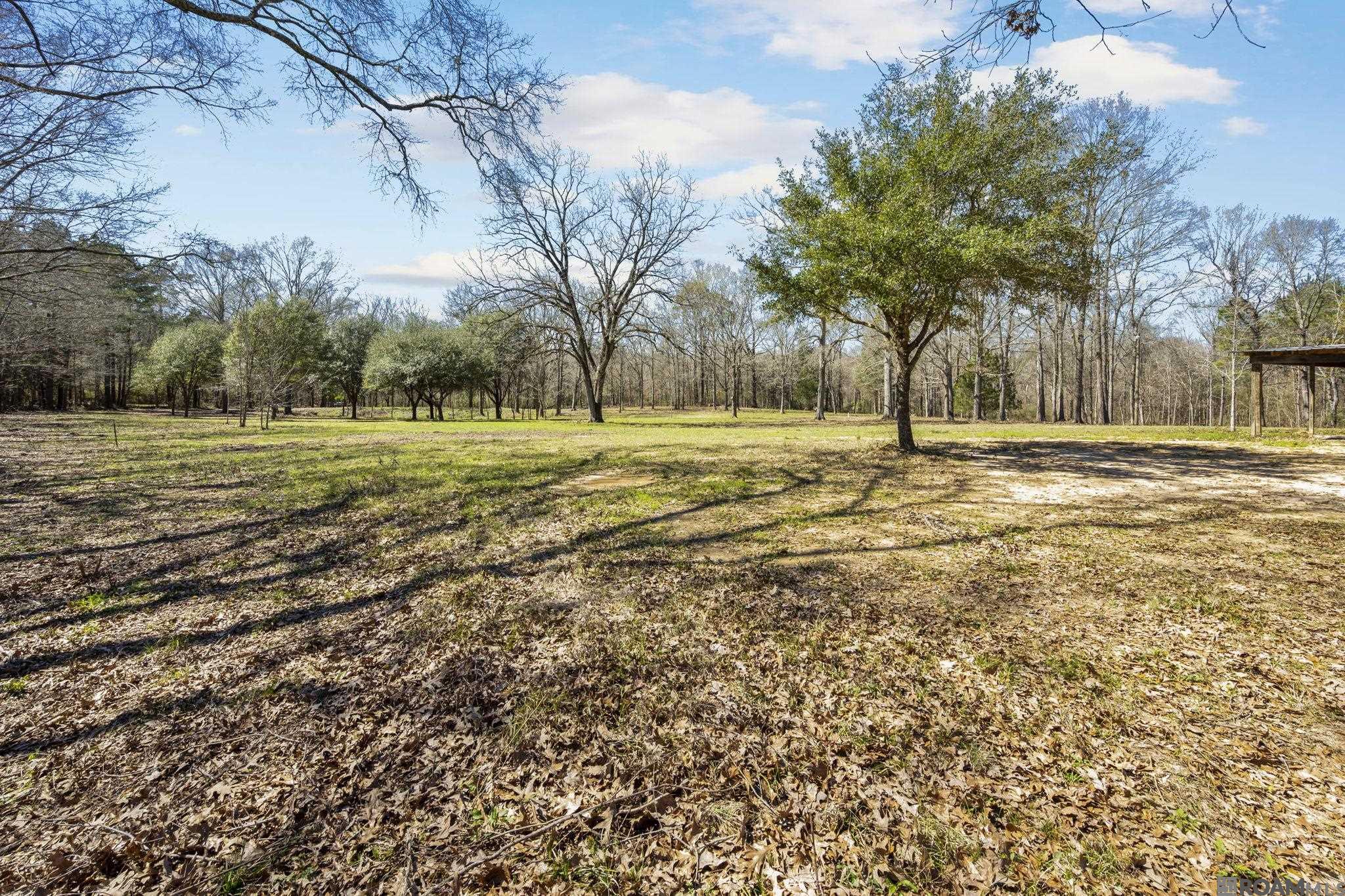 11930 Hamilton Rd, St Francisville, LA, 70775