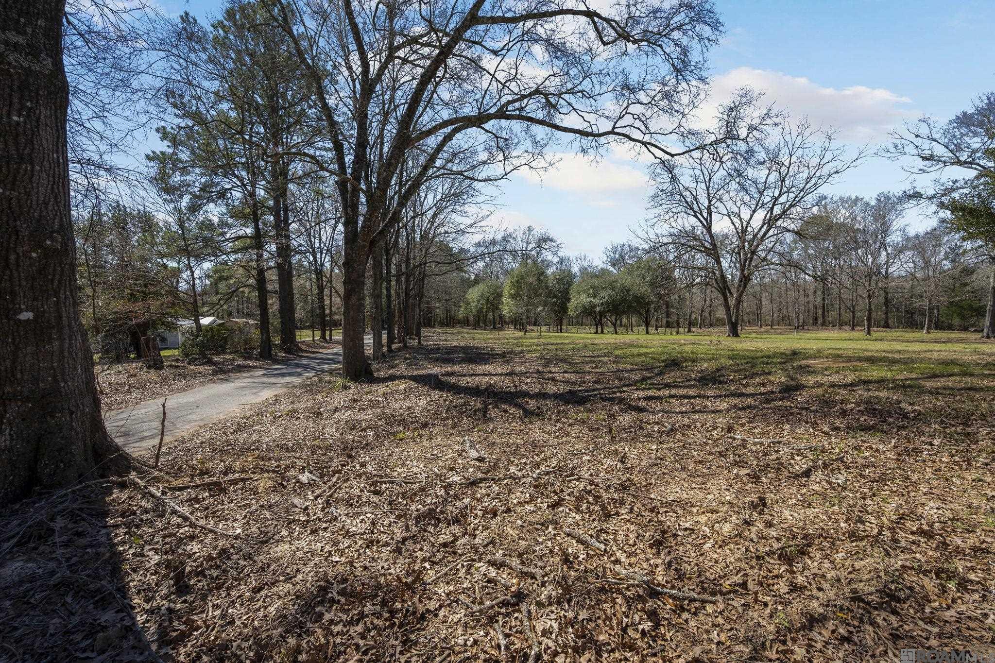 11930 Hamilton Rd, St Francisville, LA, 70775