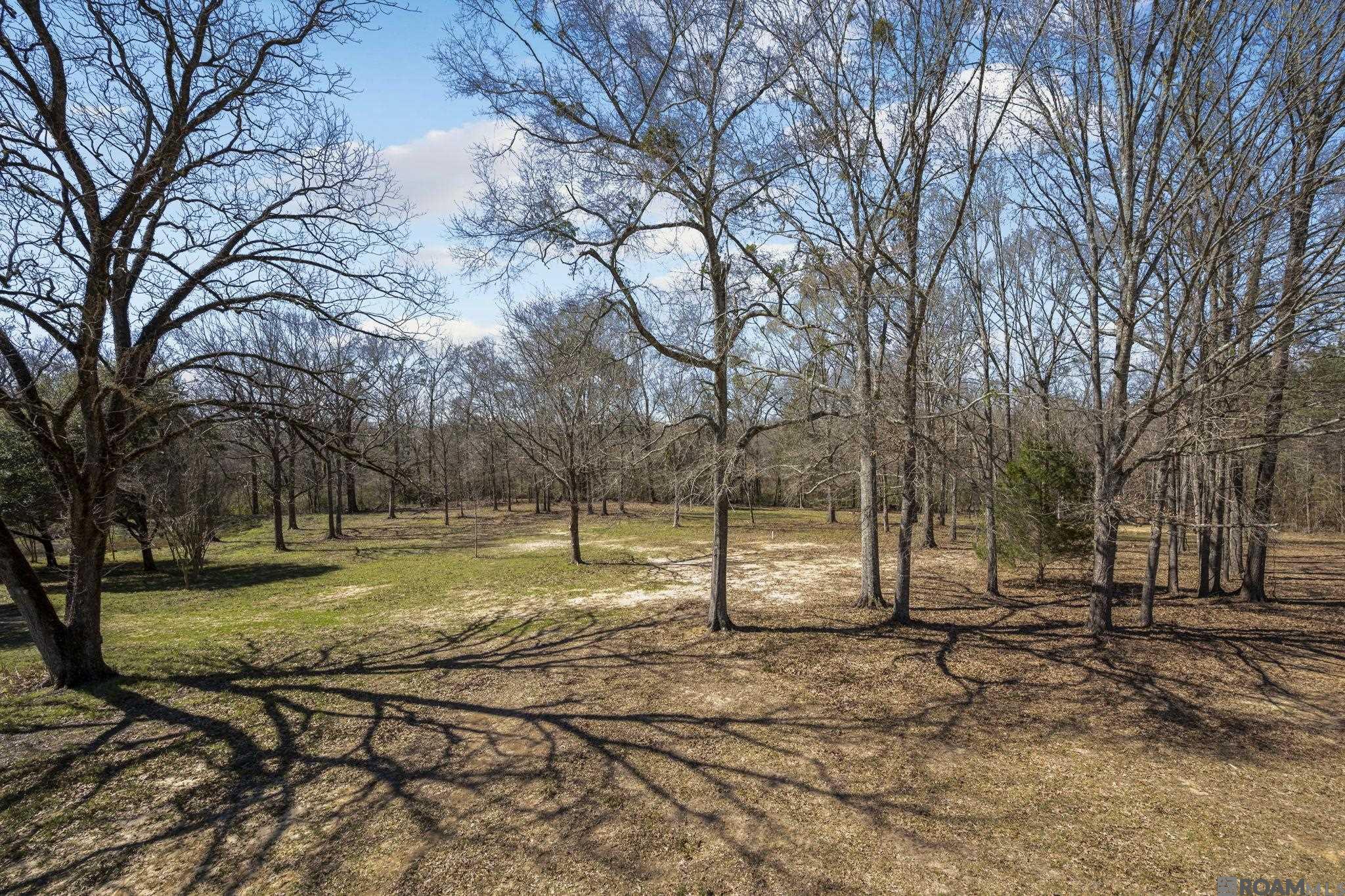 11930 Hamilton Rd, St Francisville, LA, 70775