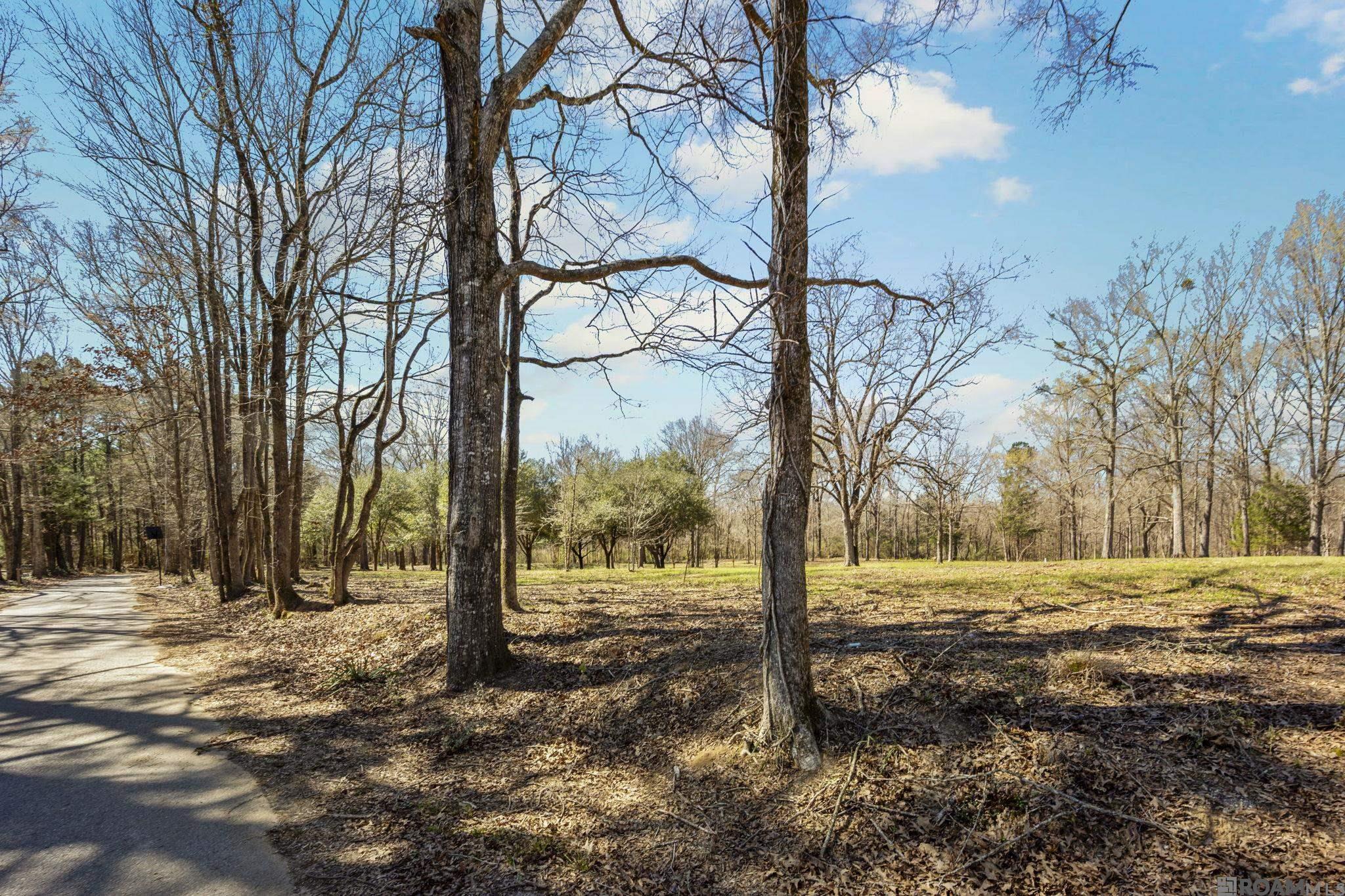 11930 Hamilton Rd, St Francisville, LA, 70775