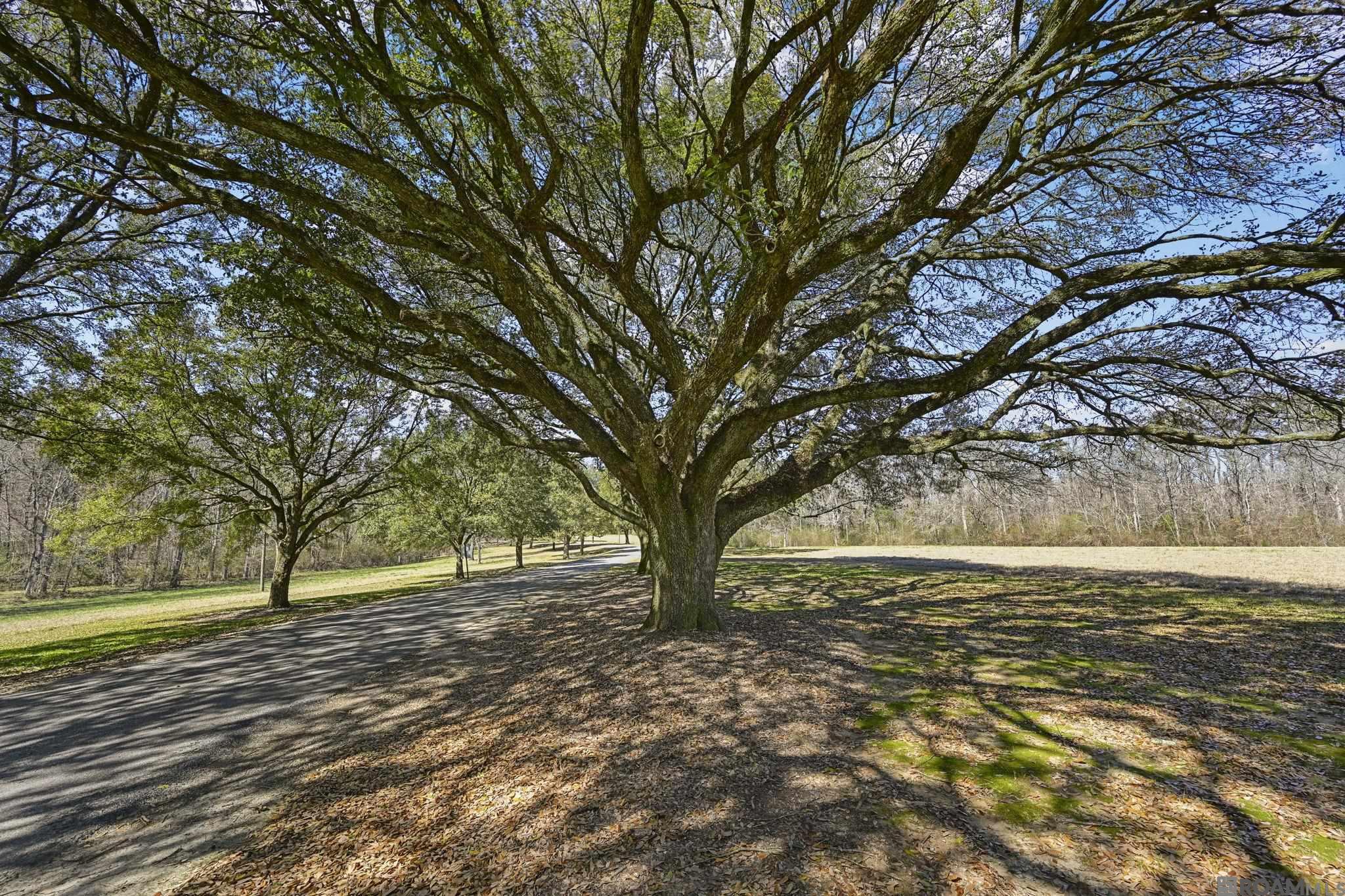 11930 Hamilton Rd, St Francisville, LA, 70775