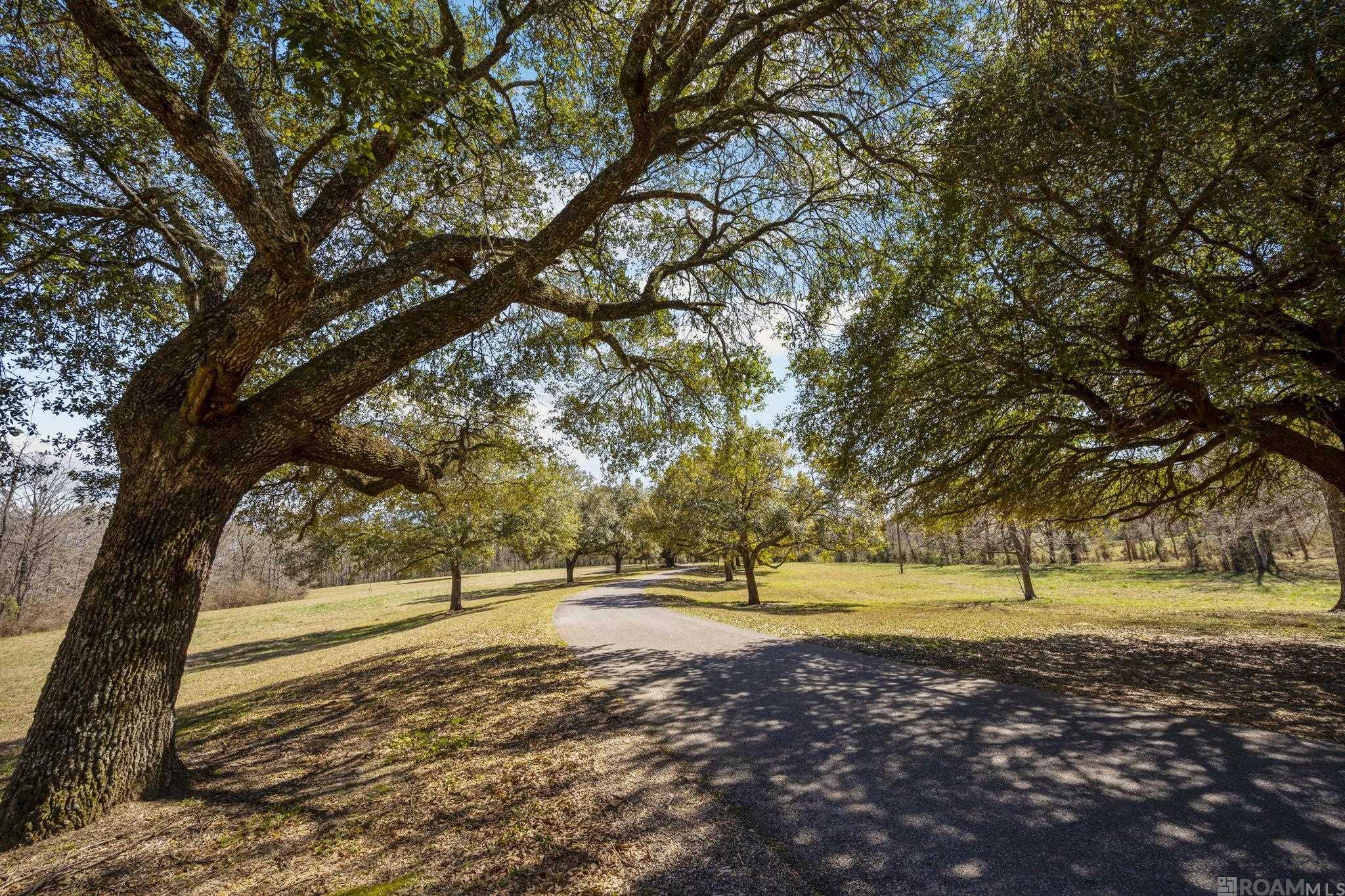 11930 Hamilton Rd, St Francisville, LA, 70775