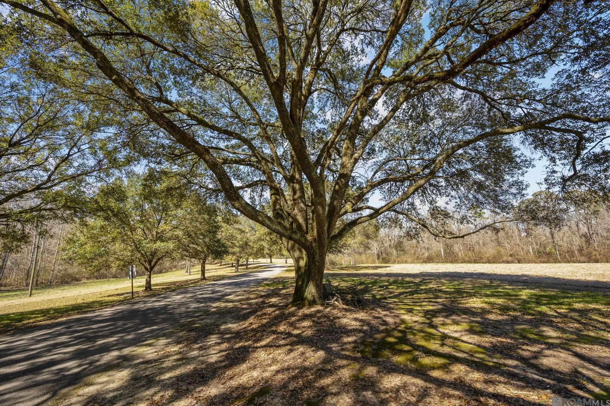 11930 Hamilton Rd, St Francisville, LA, 70775