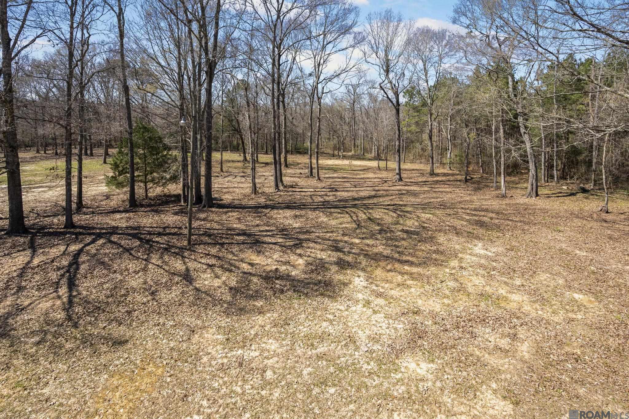 11930 Hamilton Rd, St Francisville, LA, 70775