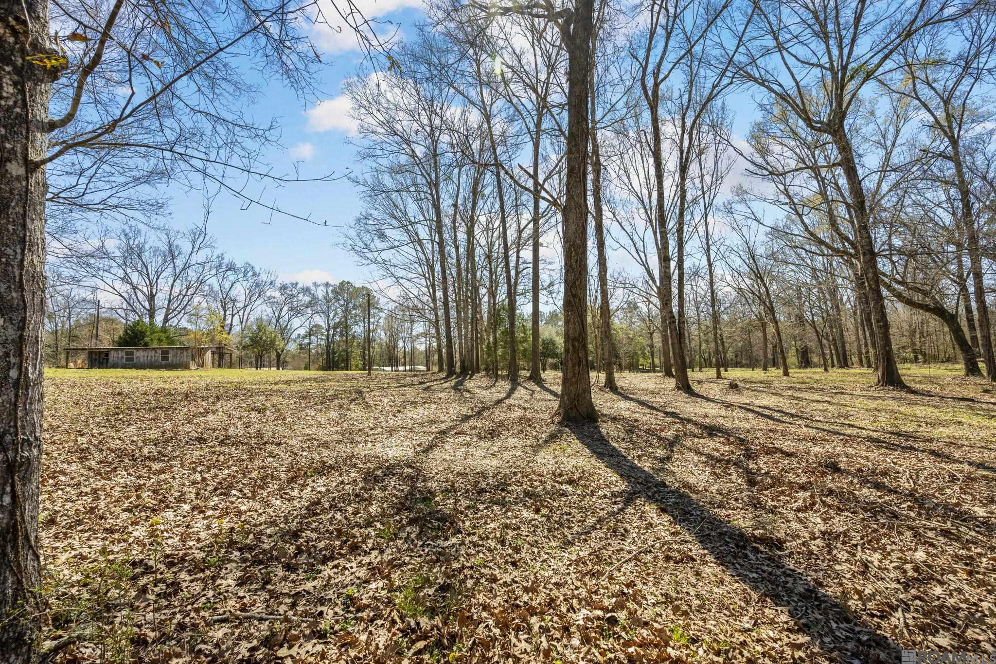 11930 Hamilton Rd, St Francisville, LA, 70775