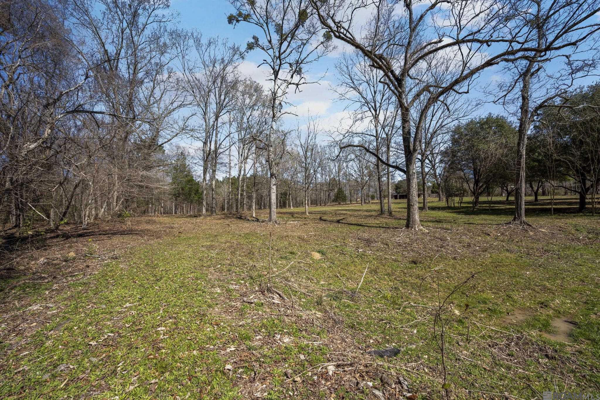 11930 Hamilton Rd, St Francisville, LA, 70775