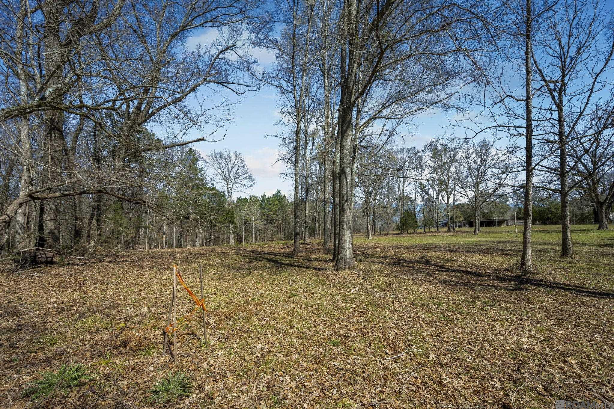 11930 Hamilton Rd, St Francisville, LA, 70775