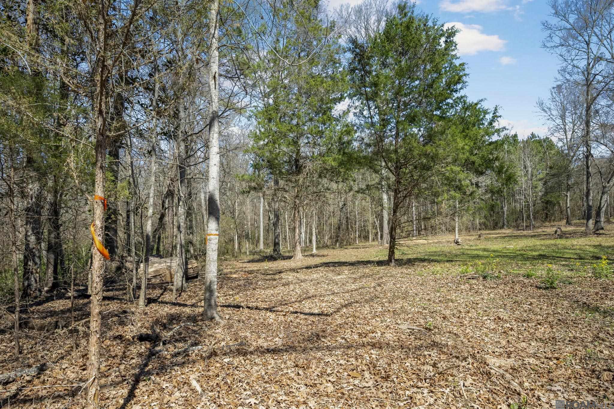 11930 Hamilton Rd, St Francisville, LA, 70775