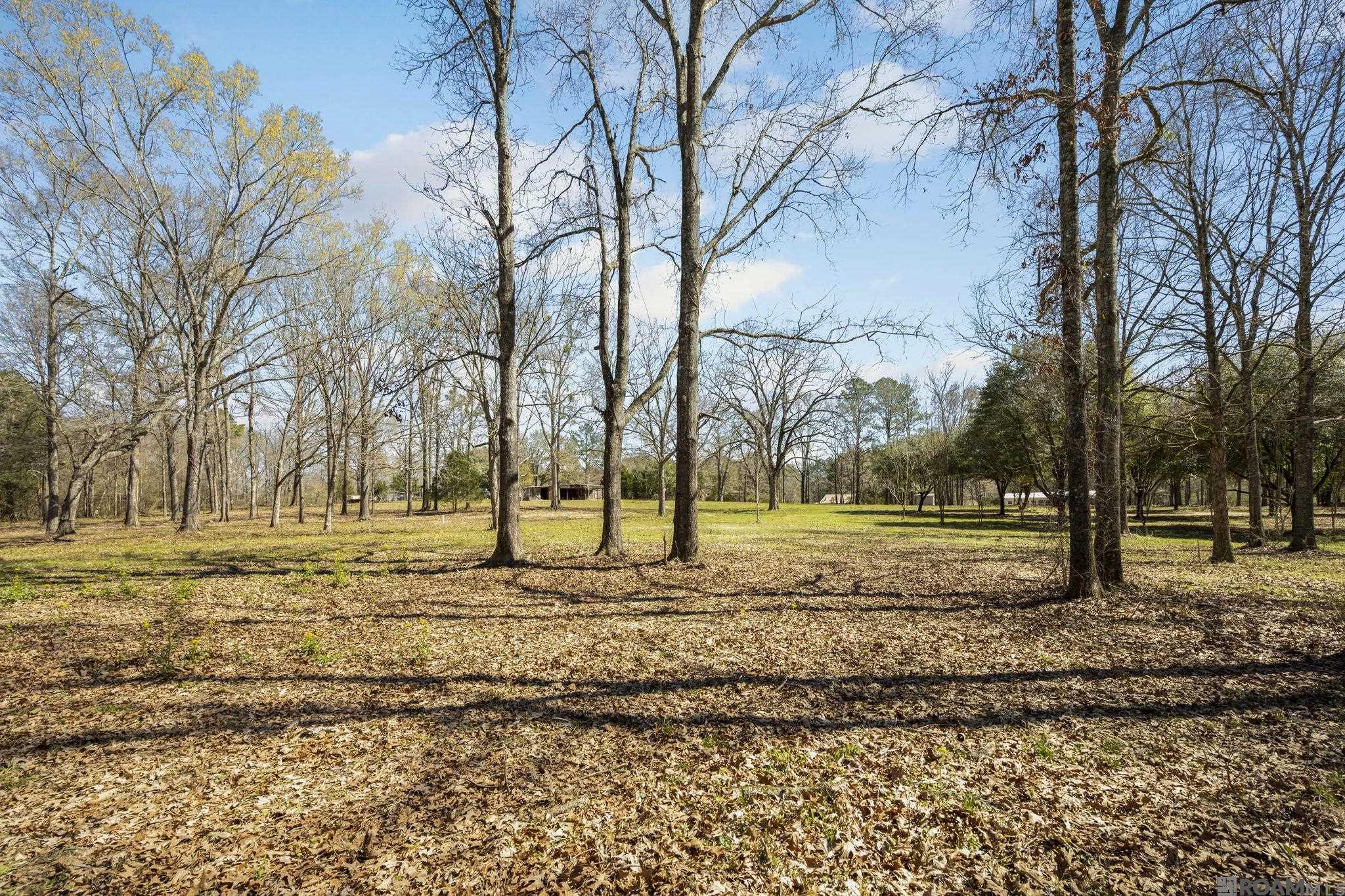 11930 Hamilton Rd, St Francisville, LA, 70775