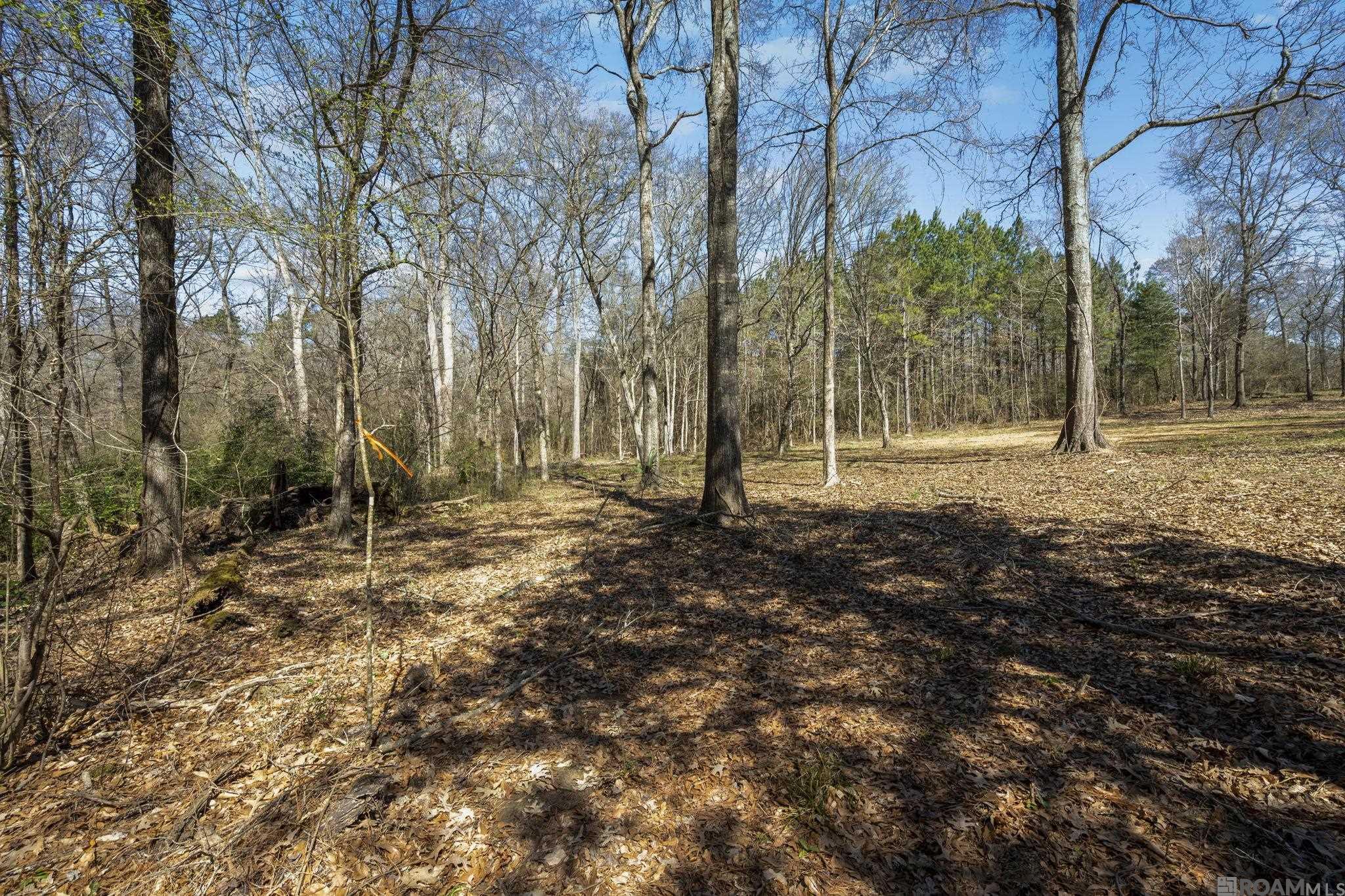 11930 Hamilton Rd, St Francisville, LA, 70775